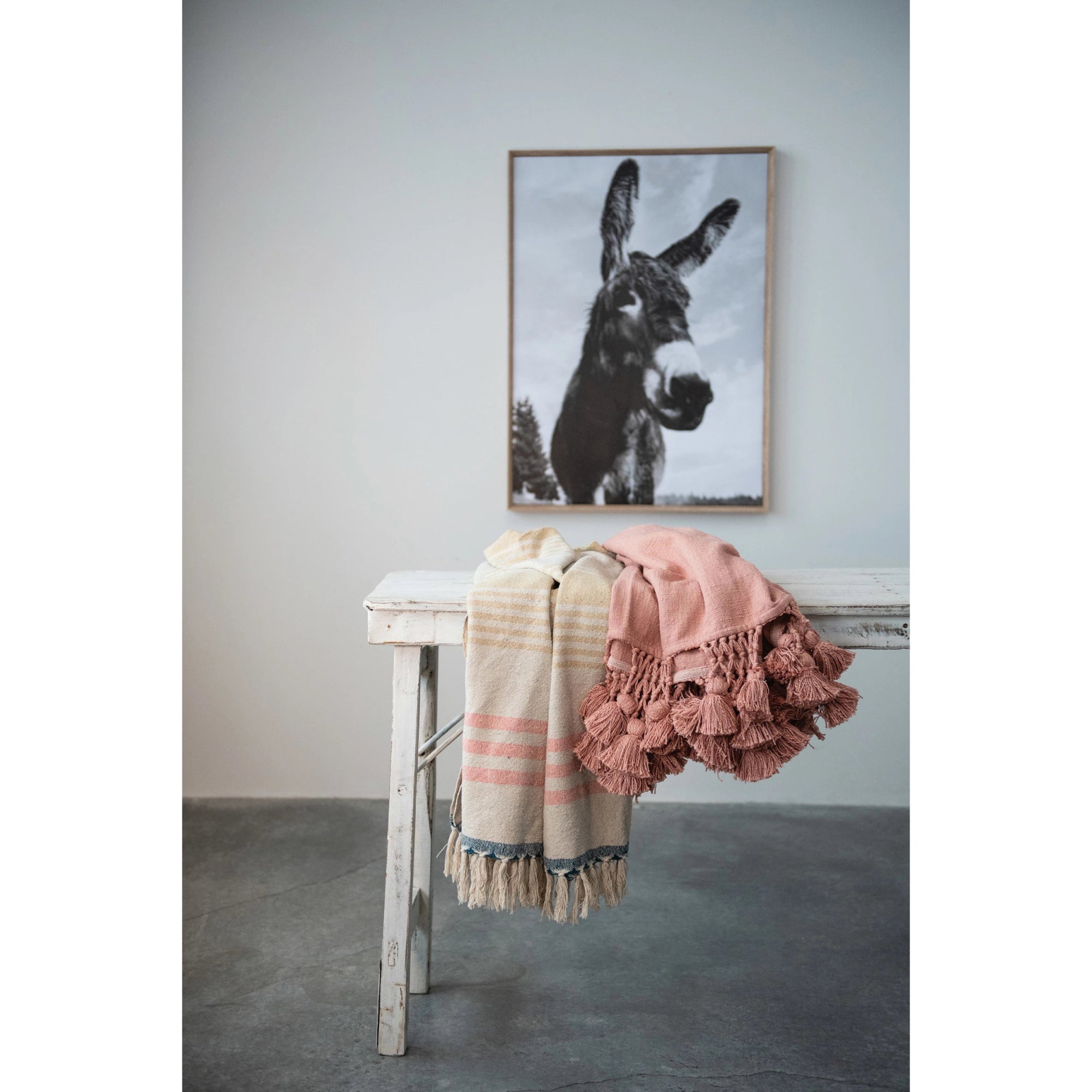 Framed Canvas Wall Decor with Donkey - Box Turtle