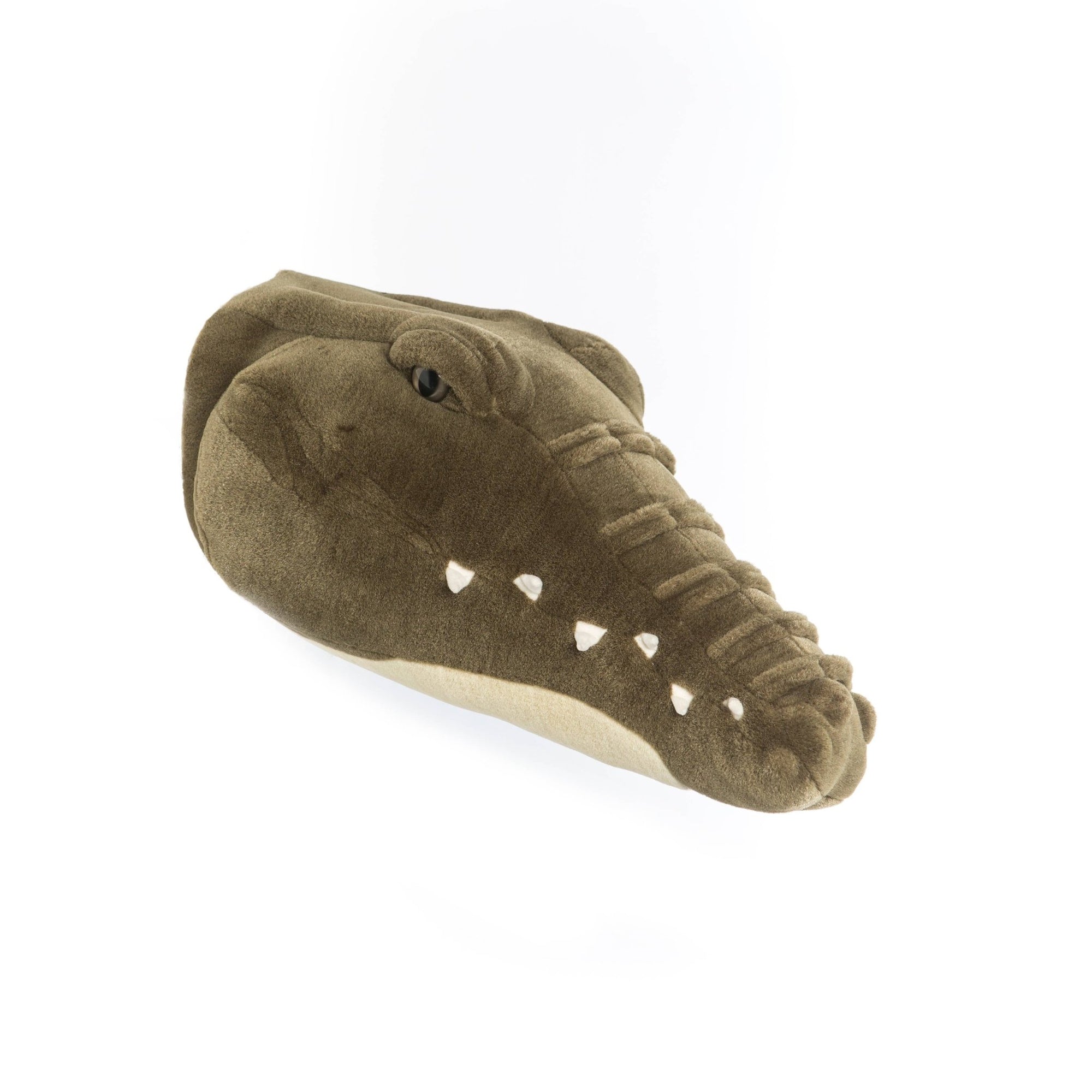 Frank the Crocodile Wall Hanger - Box Turtle