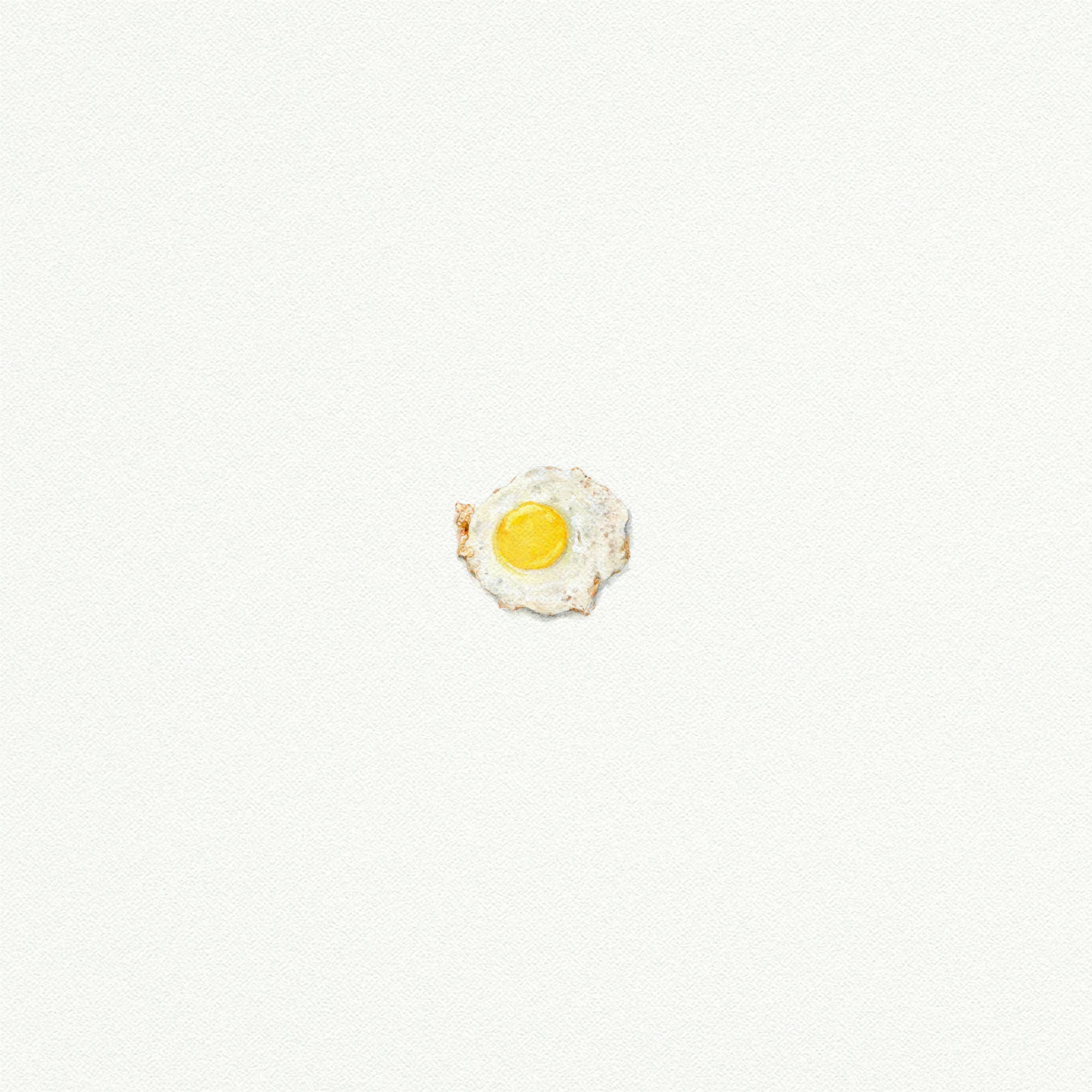 Fried Egg Miniature Watercolor Print - Box Turtle