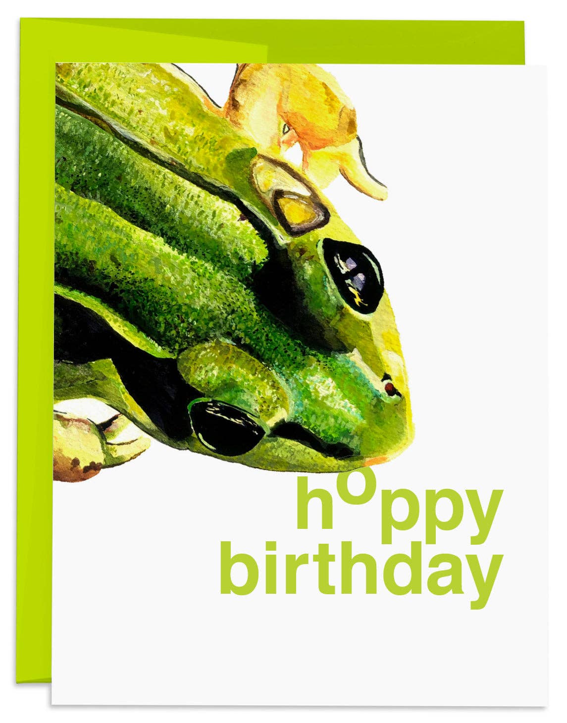Frog Hoppy Birthday Card - Box Turtle