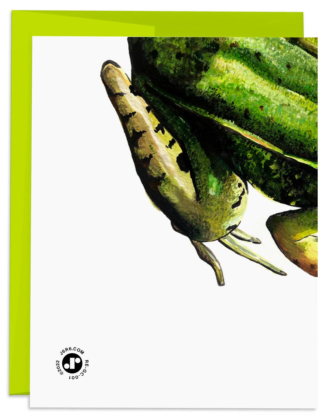 Frog Hoppy Birthday Card - Box Turtle
