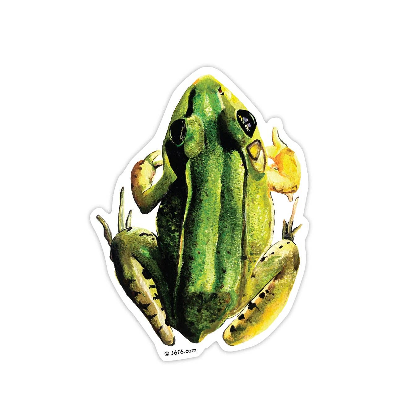 Frog Vinyl Sticker - Box Turtle