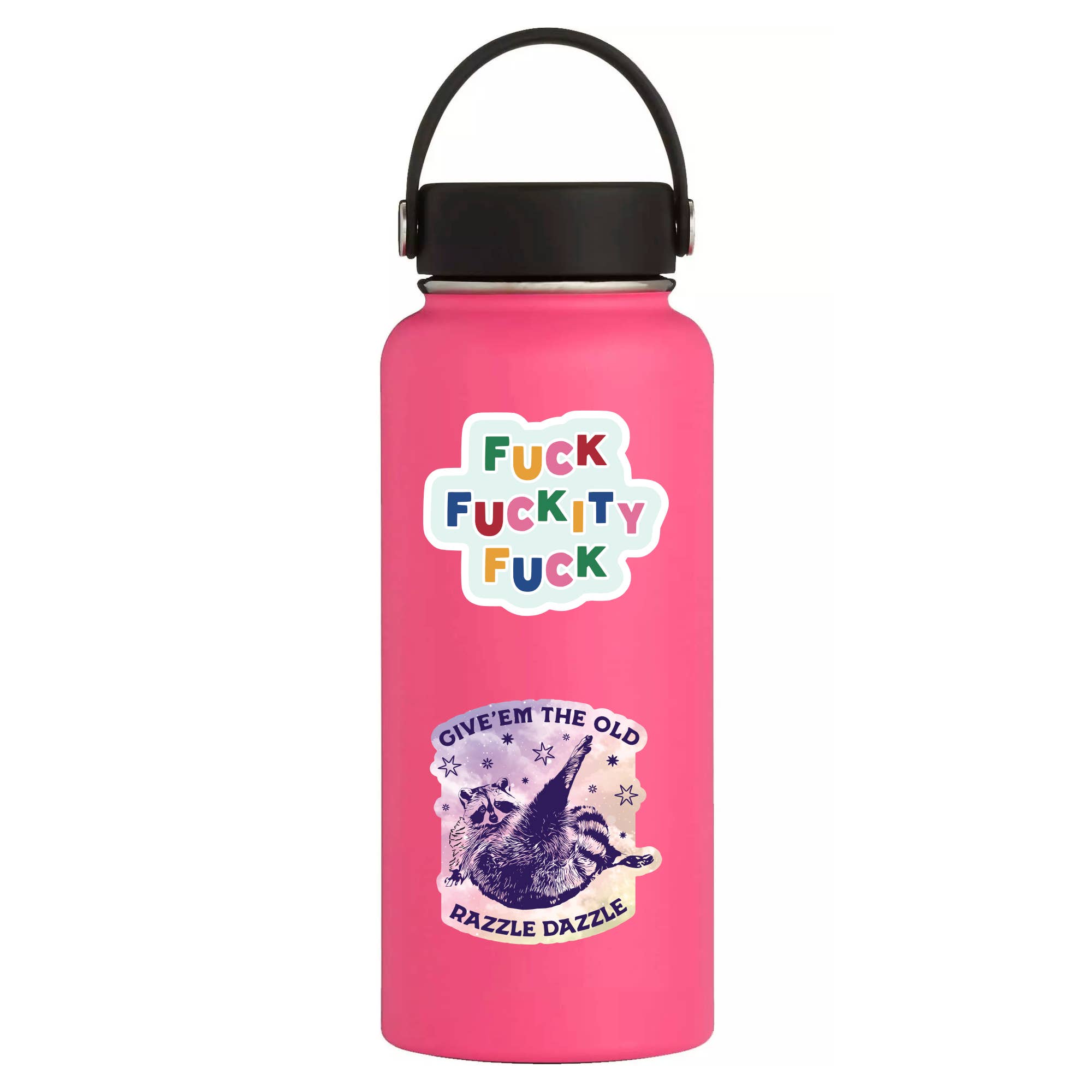 Funny Animal Humor Vinyl Sticker - Box Turtle