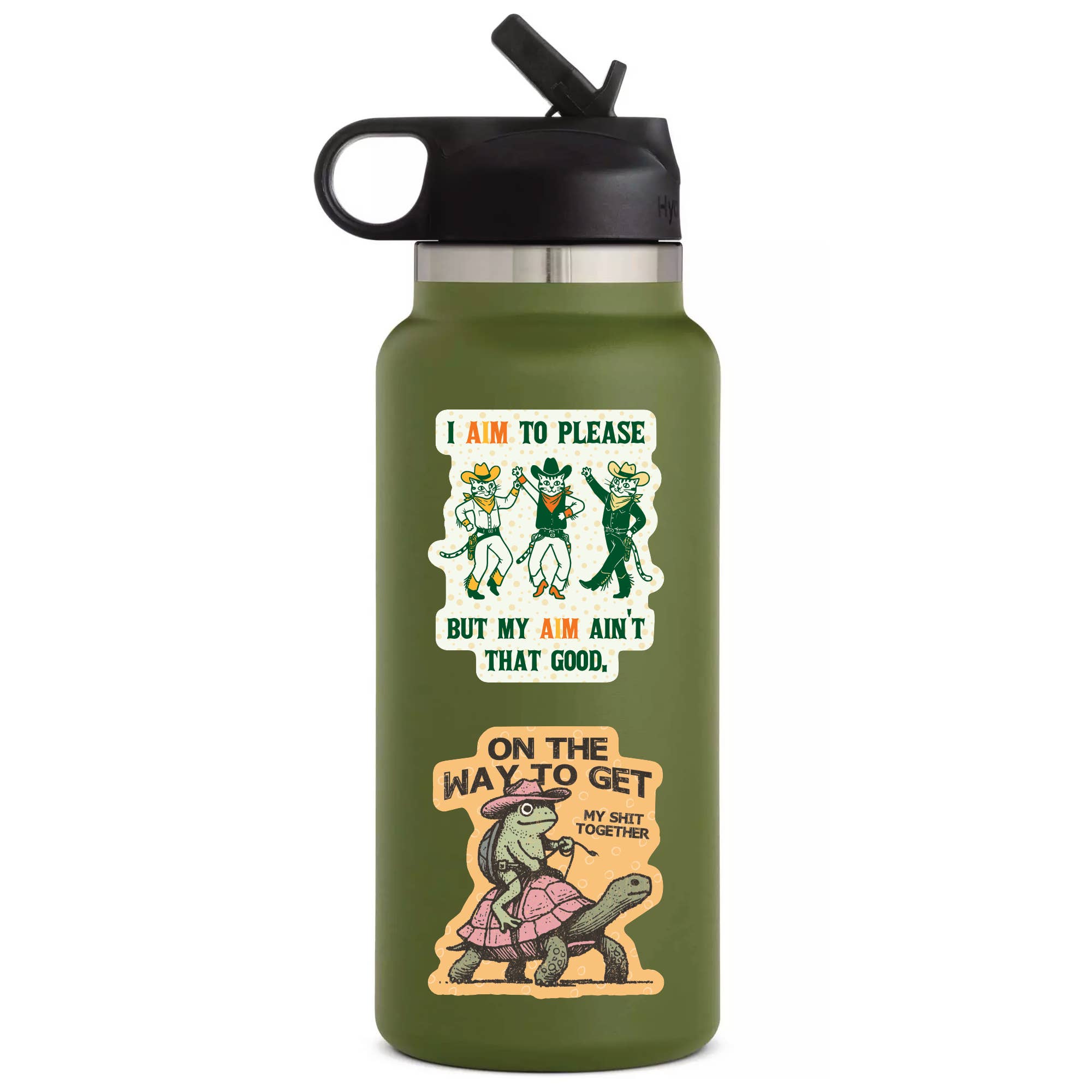 Funny Cute Kitty Cat Sarcastic Vinyl Sticker - Box Turtle