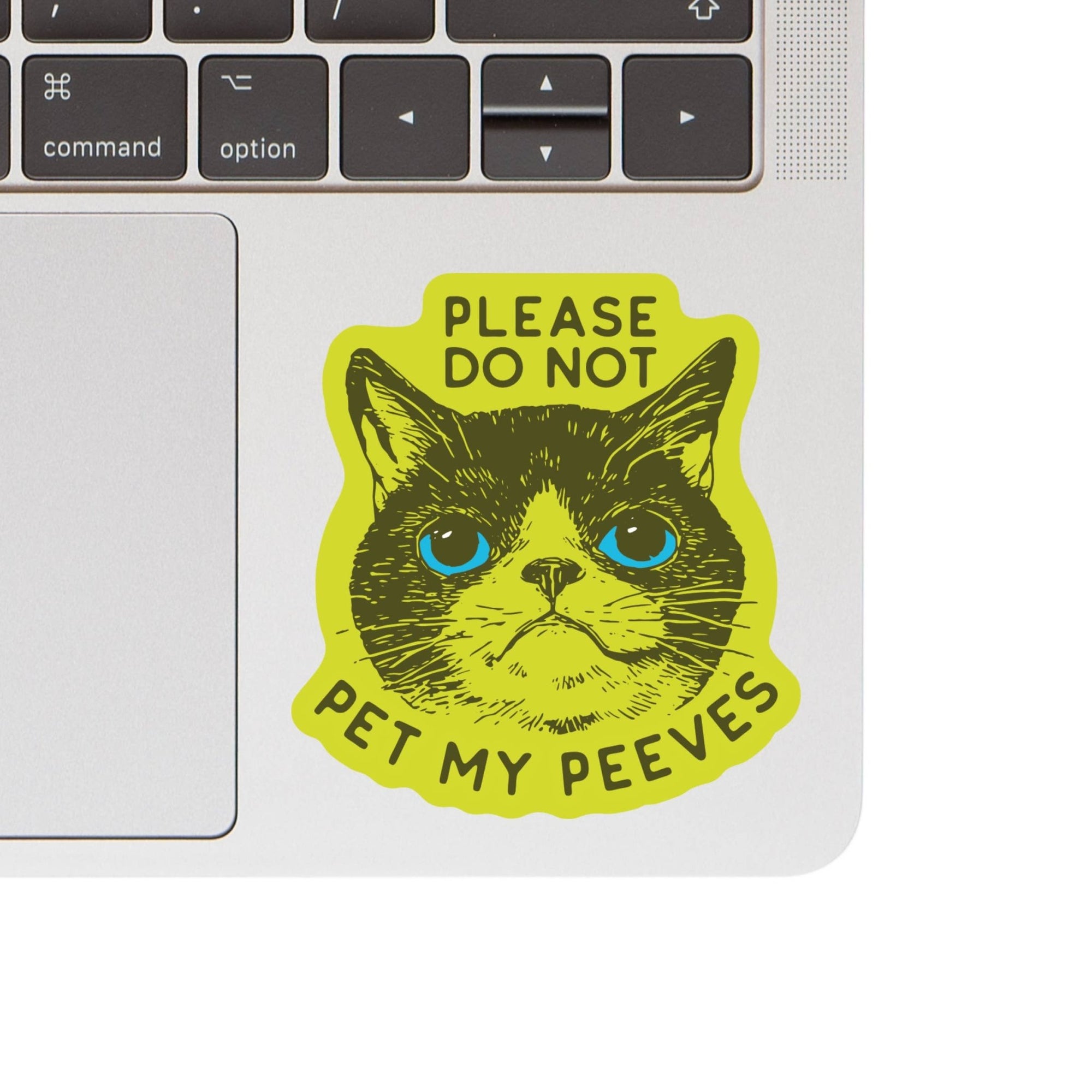 Funny Kitty Cat Goofy Humor Vinyl Sticker - Box Turtle