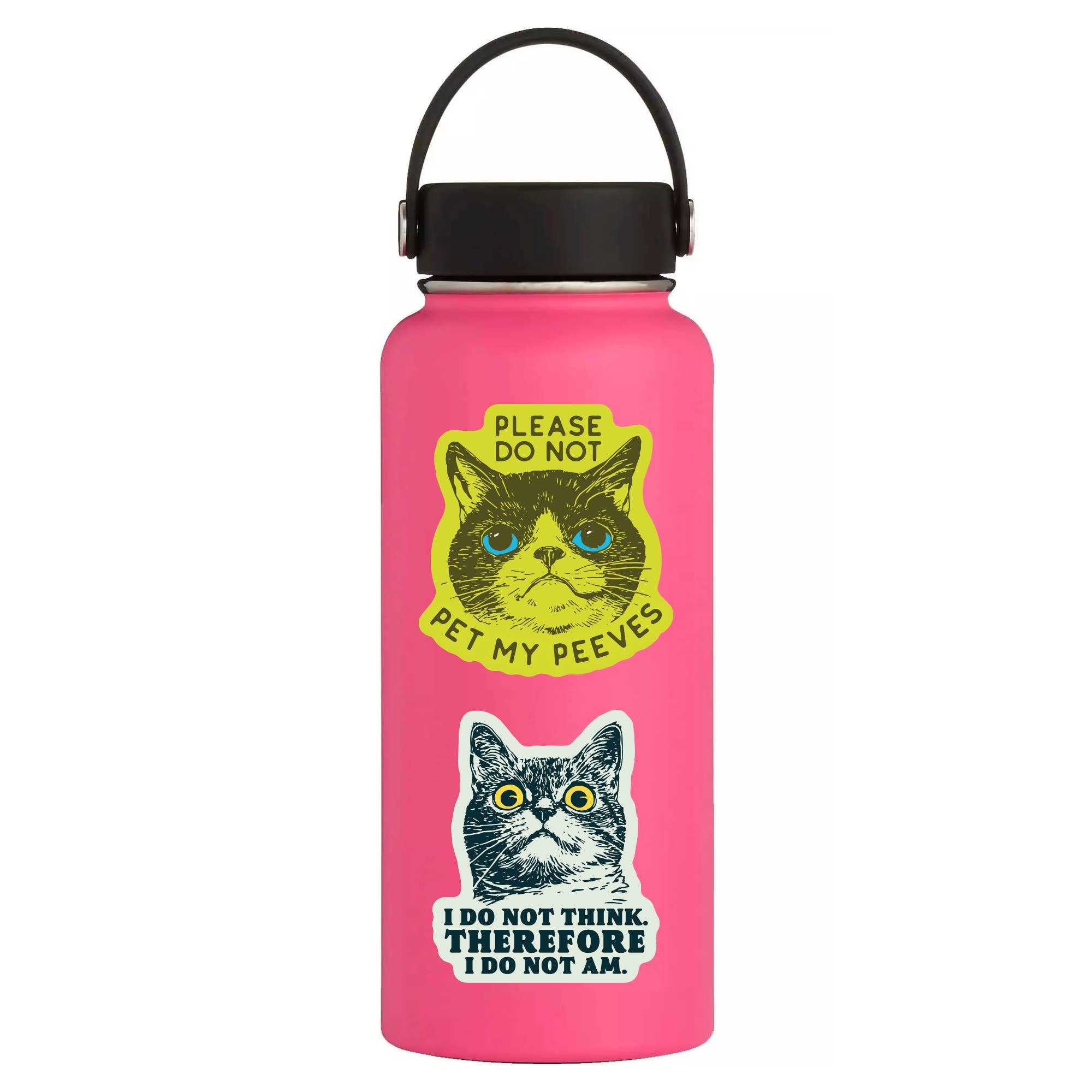 Funny Kitty Cat Goofy Humor Vinyl Sticker - Box Turtle