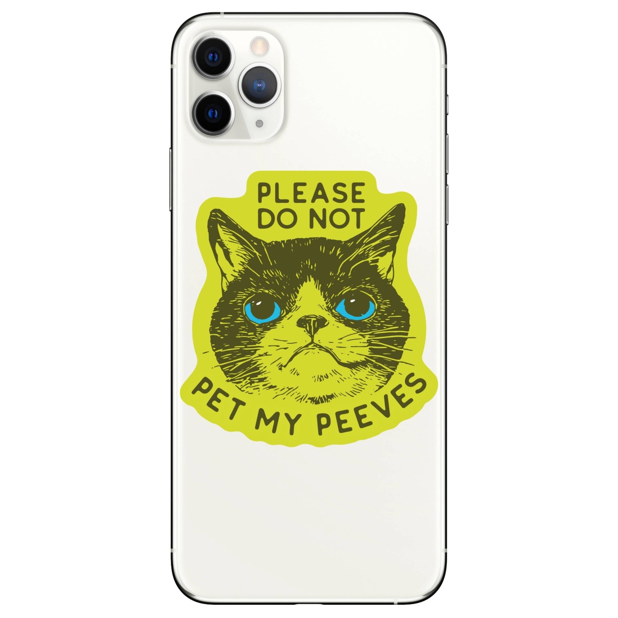 Funny Kitty Cat Goofy Humor Vinyl Sticker - Box Turtle