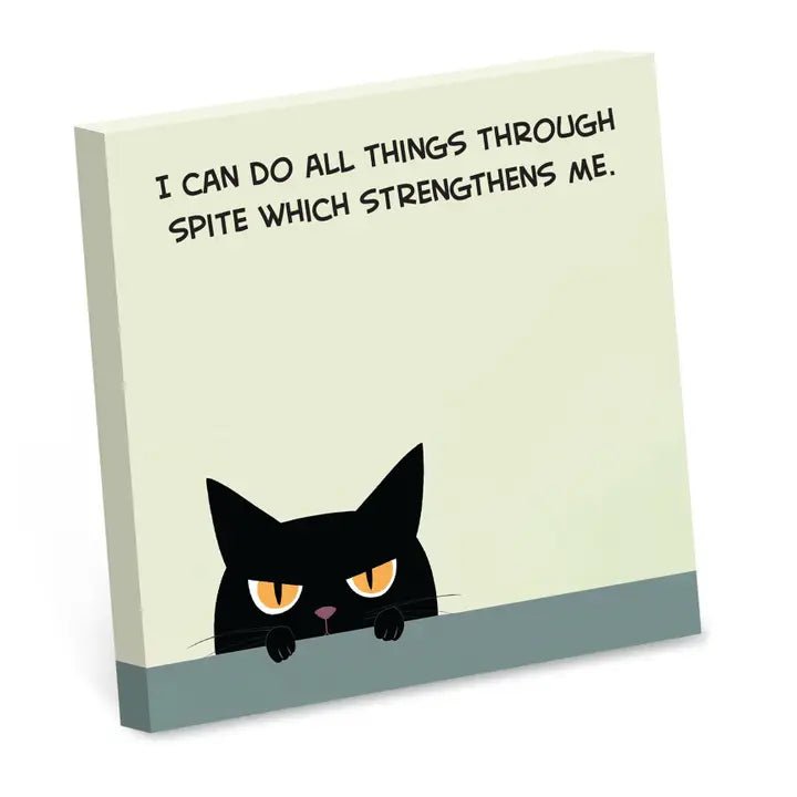 Funny Sticky Note Pads - Box Turtle