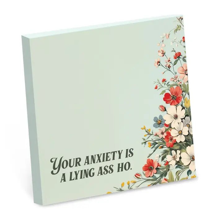 Funny Sticky Note Pads - Box Turtle
