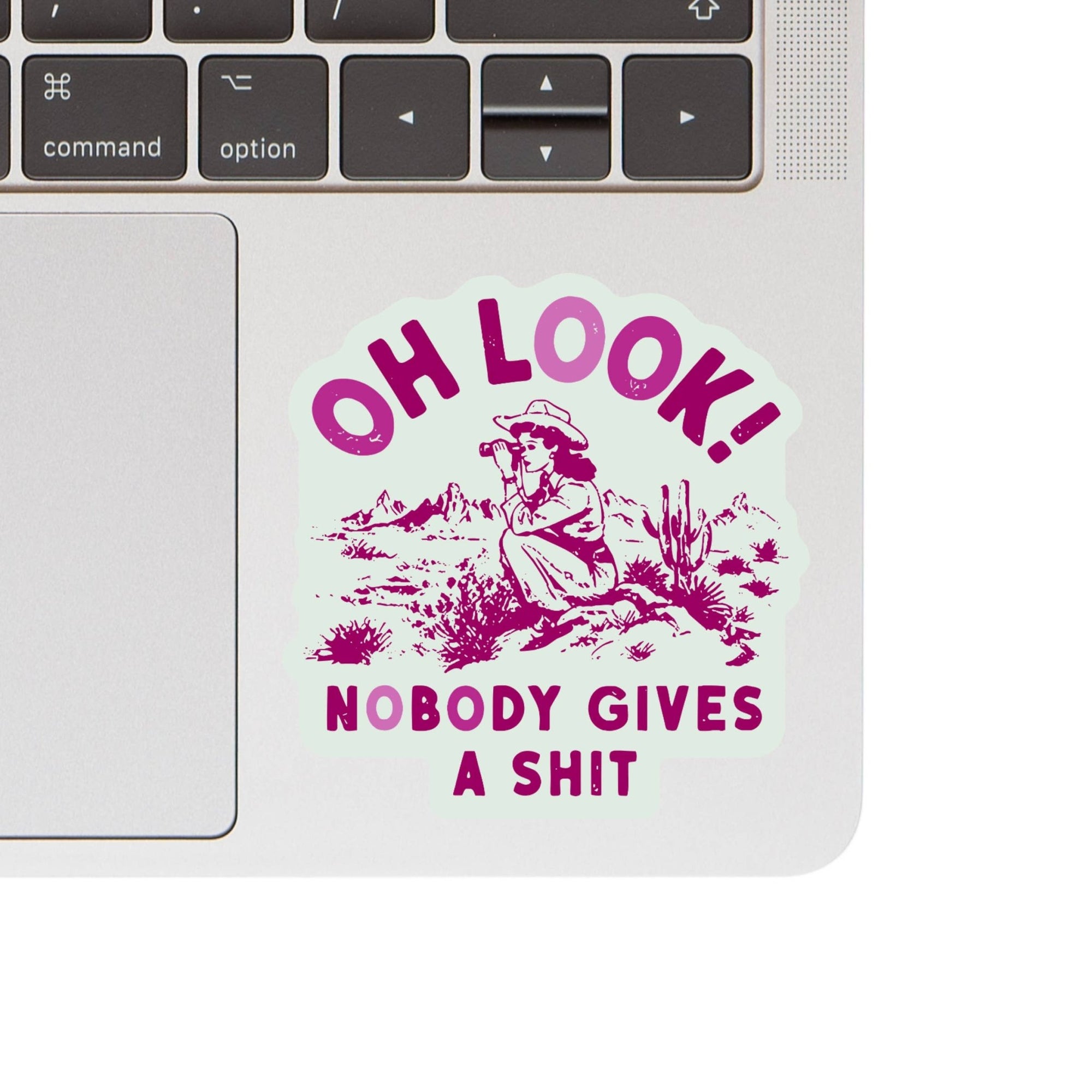 Funny Swear Cowgirl Nature Shit Vinyl Sticker - Box Turtle