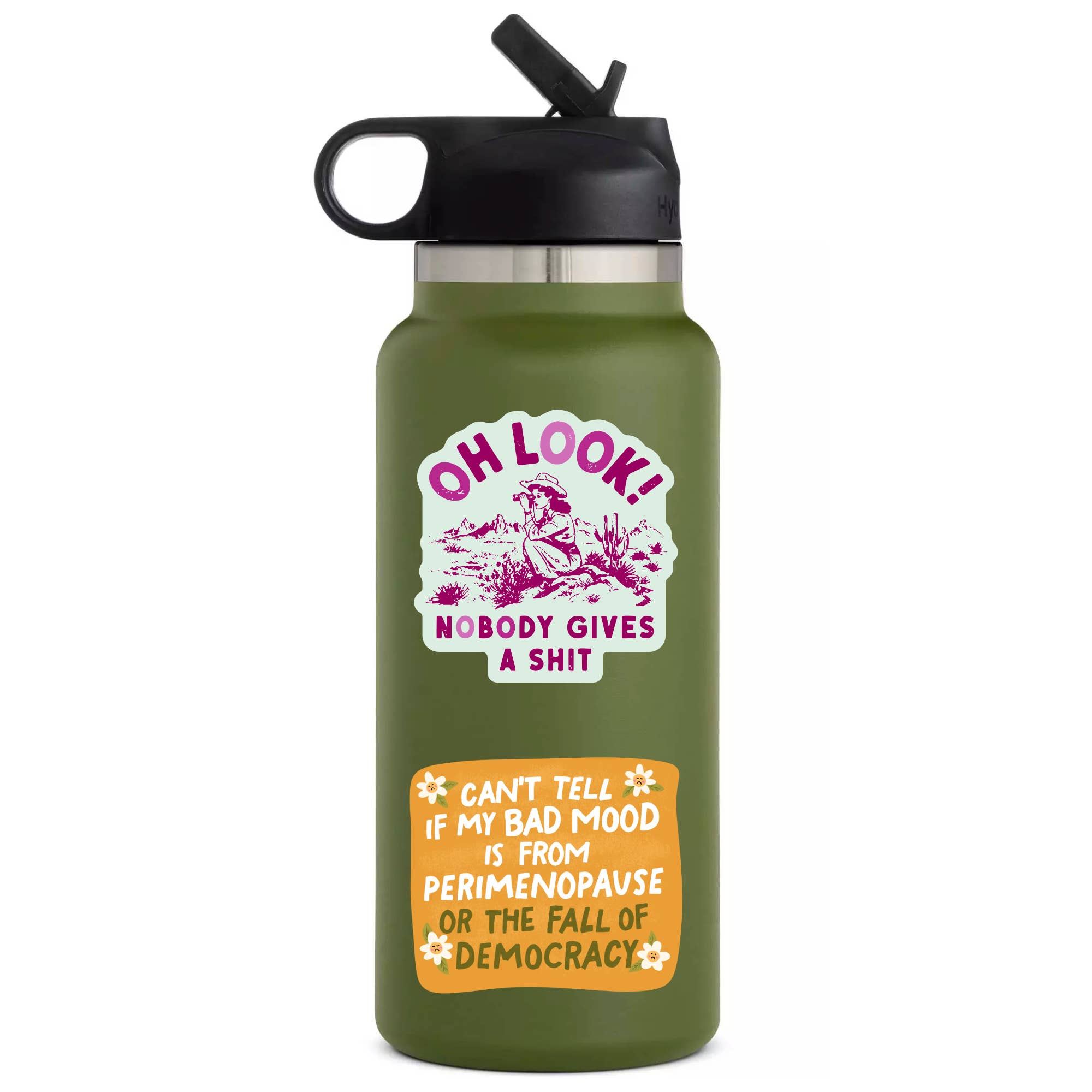 Funny Swear Cowgirl Nature Shit Vinyl Sticker - Box Turtle