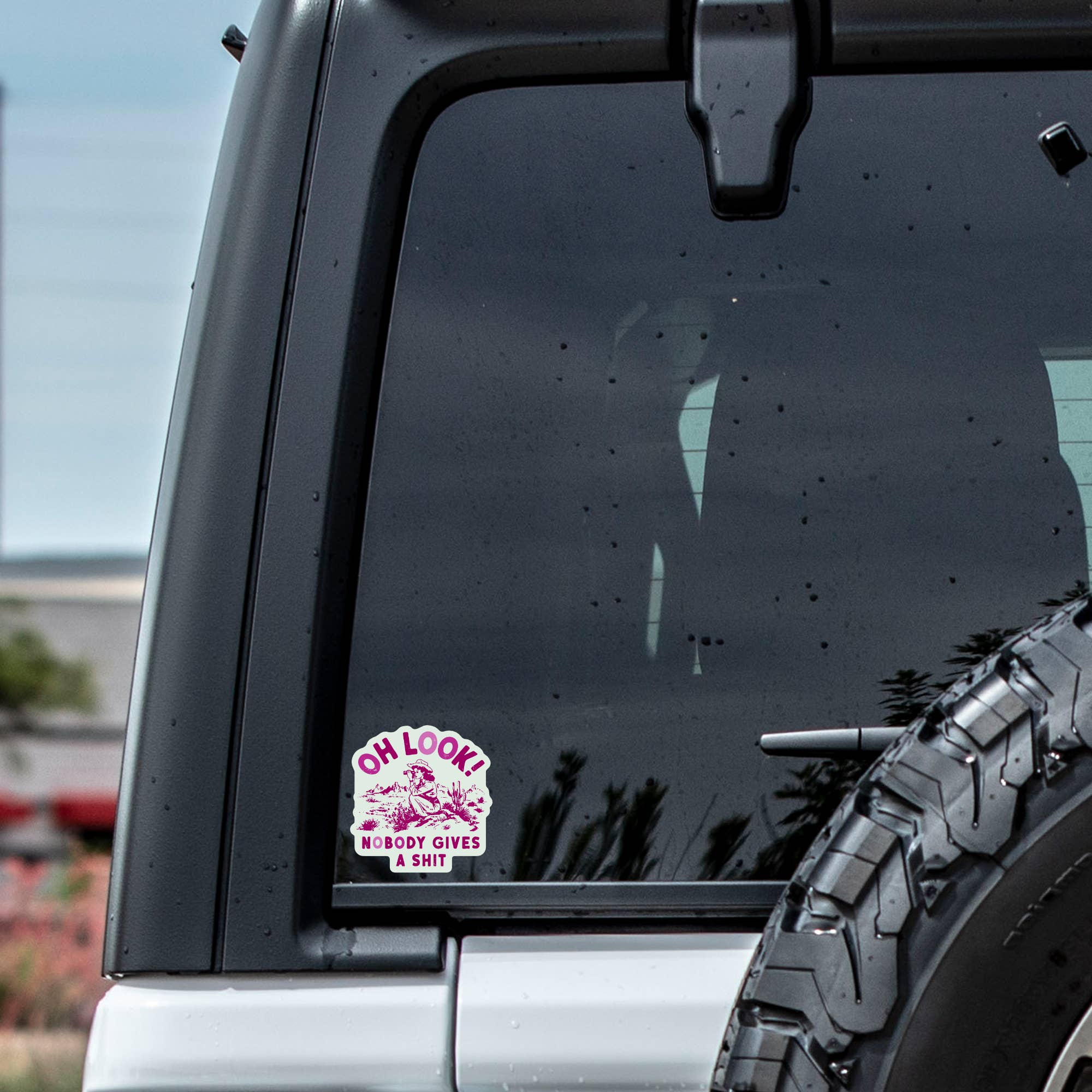 Funny Swear Cowgirl Nature Shit Vinyl Sticker - Box Turtle