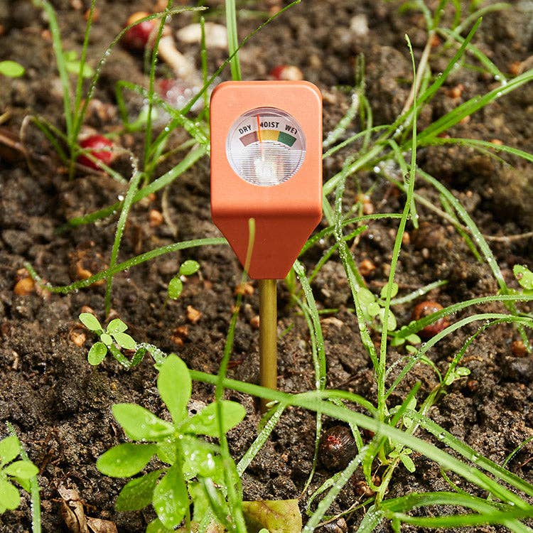 Garden Hydrometer - Box Turtle