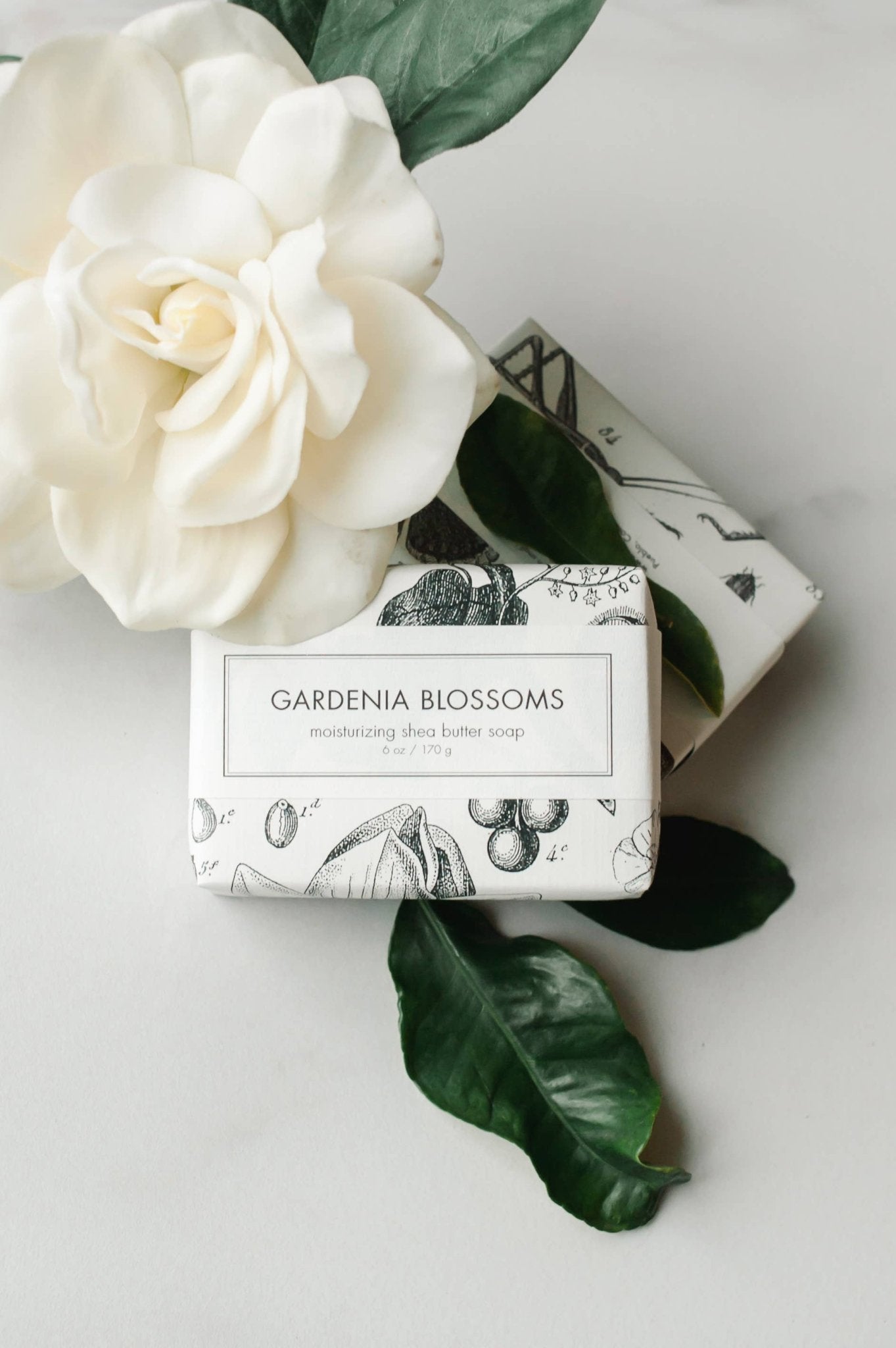 Gardenia Blossoms Soap - Box Turtle