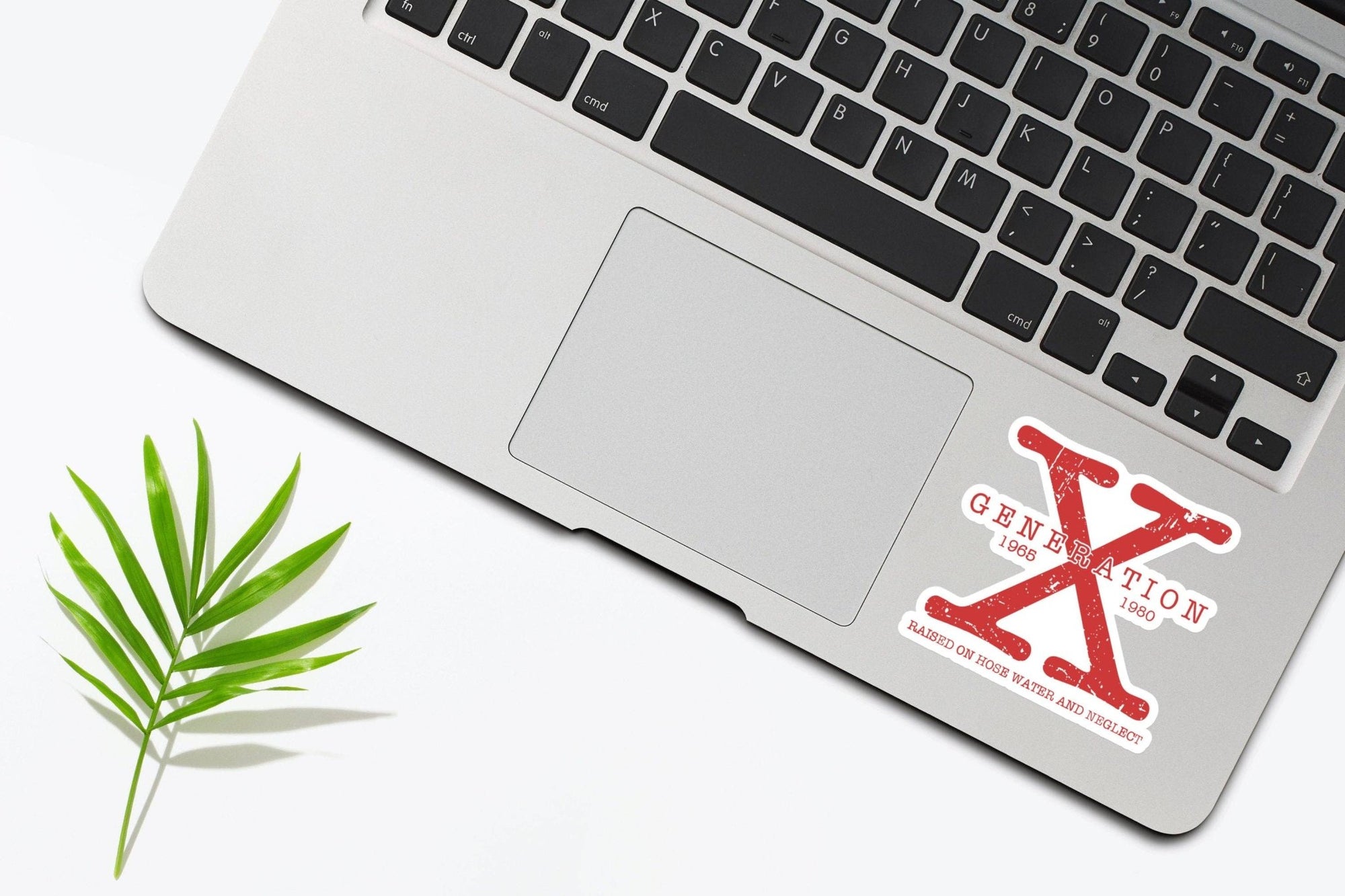 Generation X Sticker - Box Turtle
