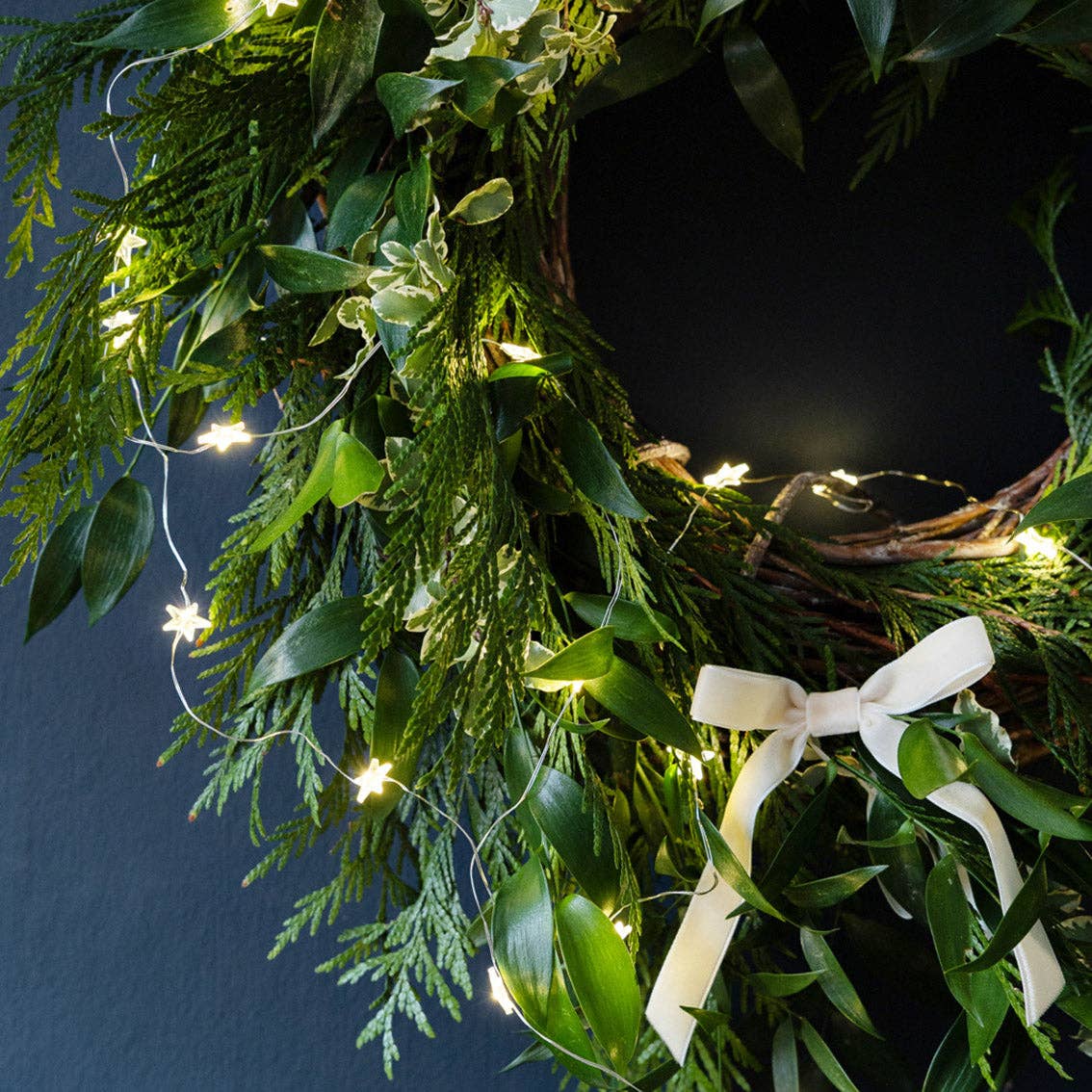 Gilded Star String Lights - Box Turtle