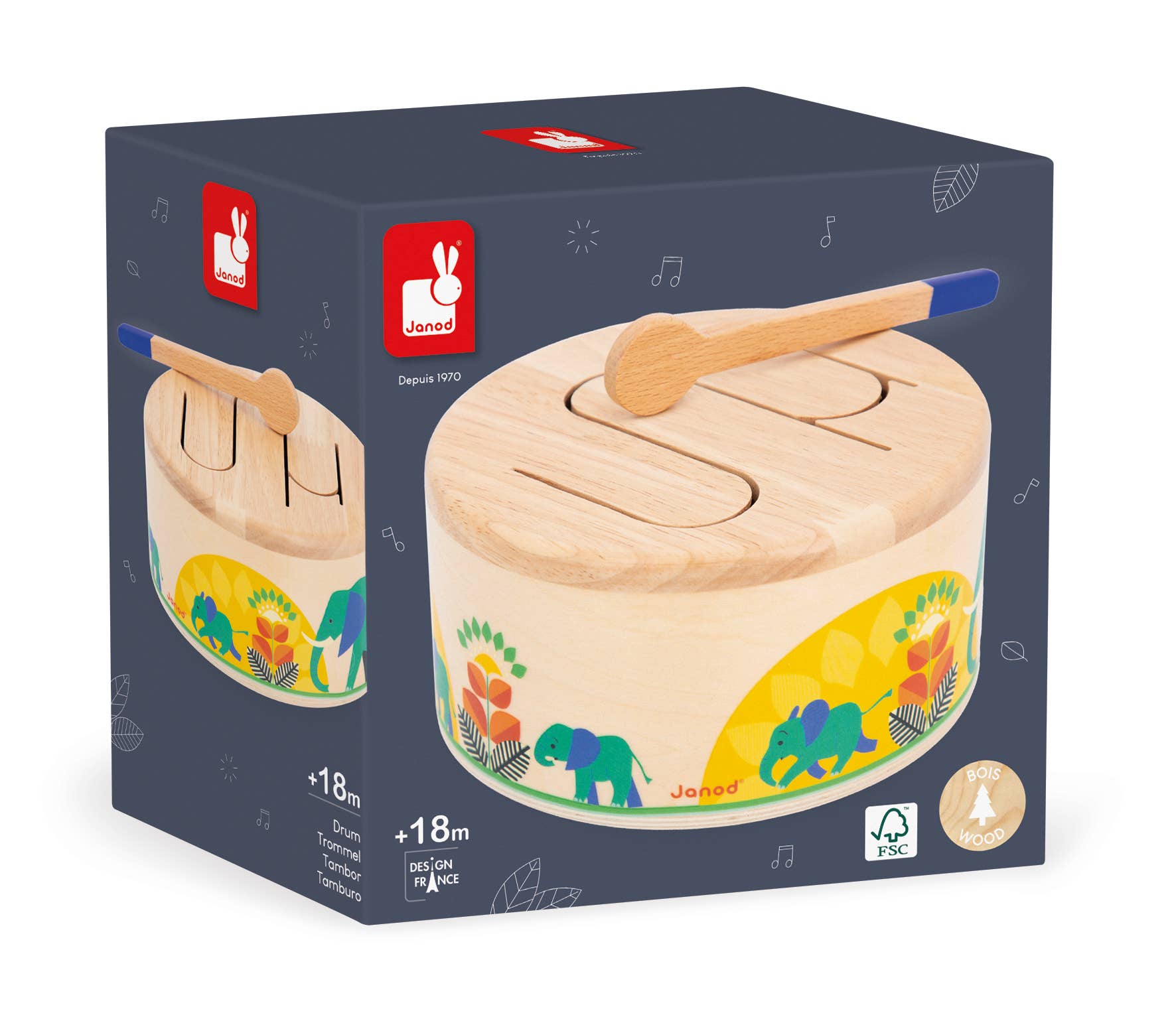 Gioia Drum - Box Turtle