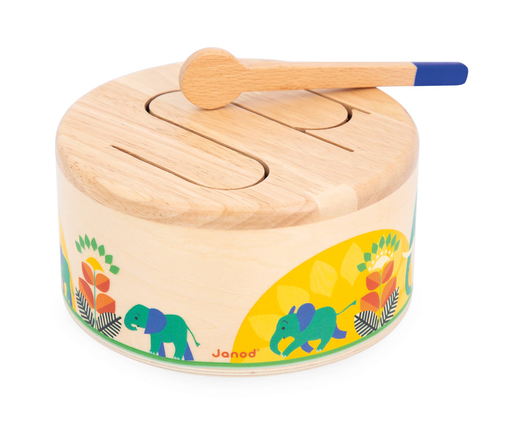 Gioia Drum - Box Turtle