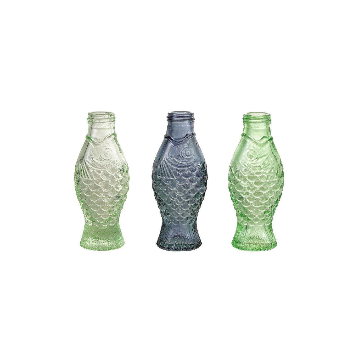 Glass Fish Vase - Box Turtle