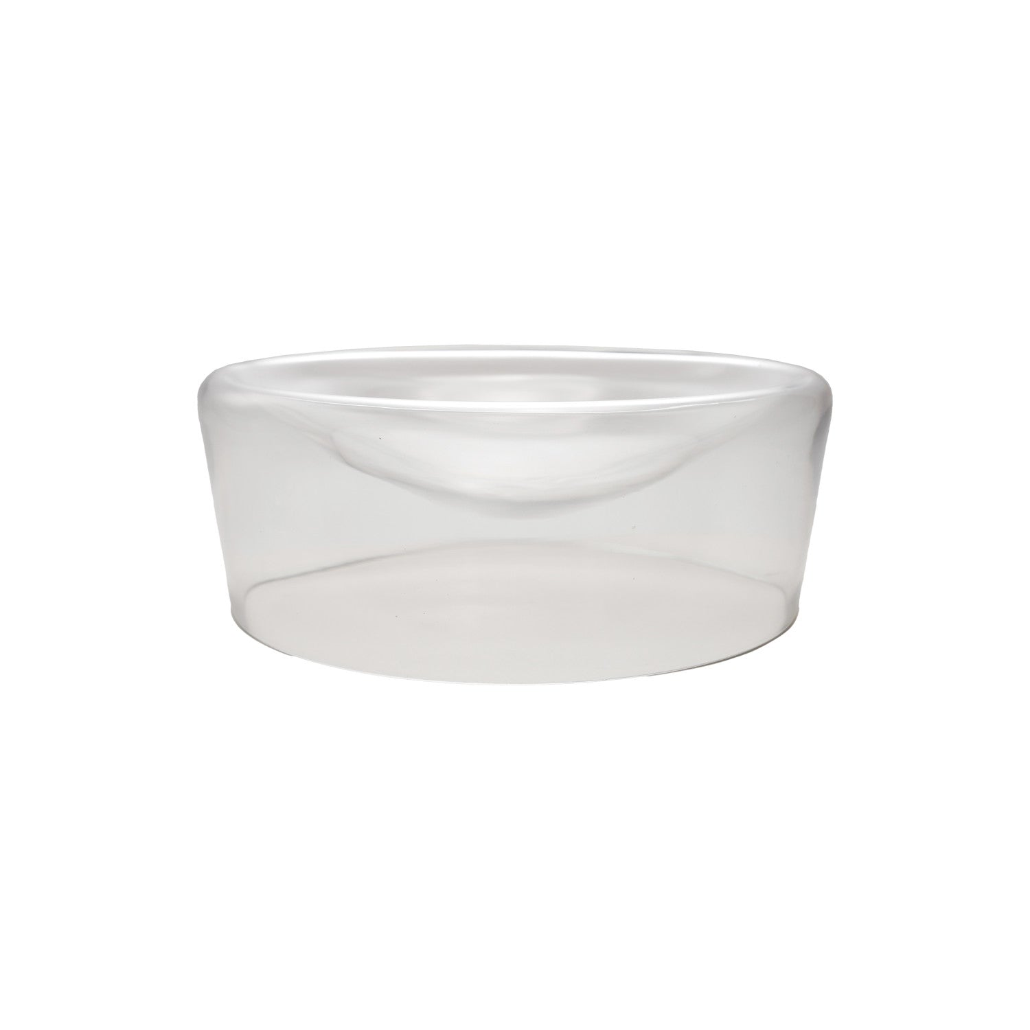 Glass Inverted Bowl - Box Turtle