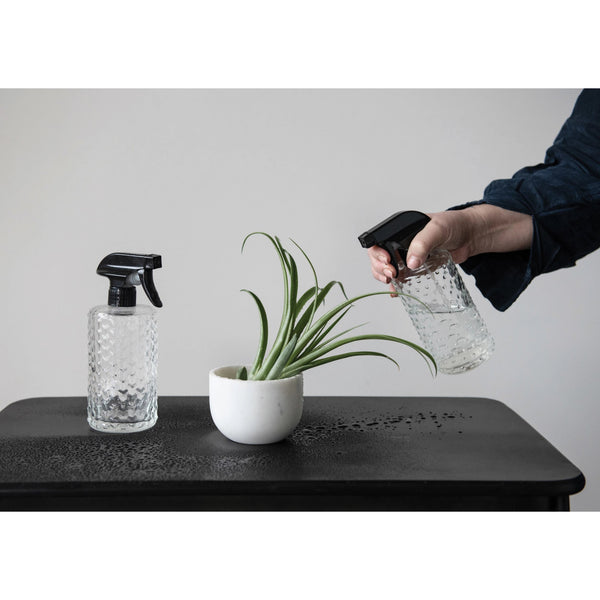 Glass Spray Bottles - Box Turtle