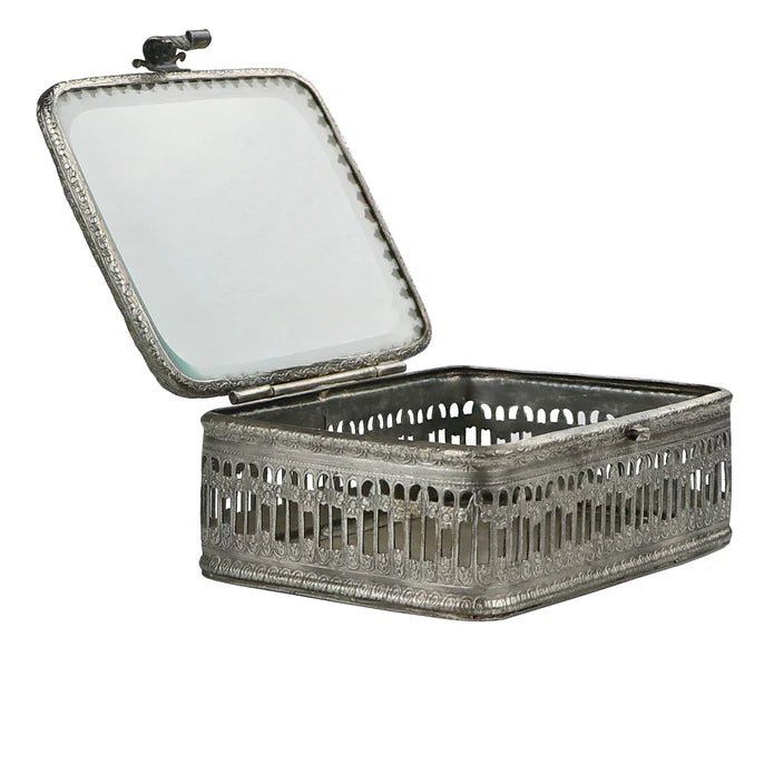 Glass Top Box - Box Turtle