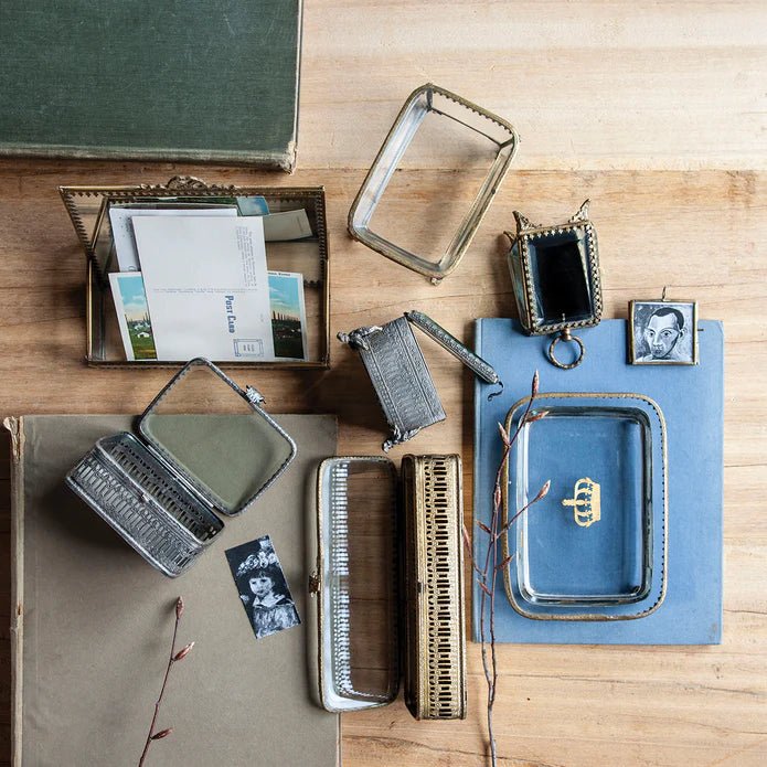 Glass Top Box - Box Turtle
