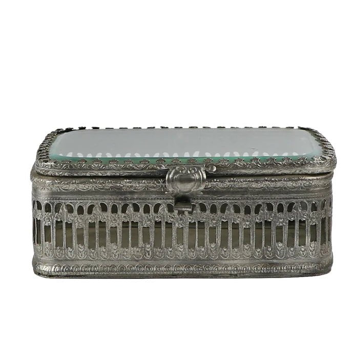 Glass Top Box - Box Turtle