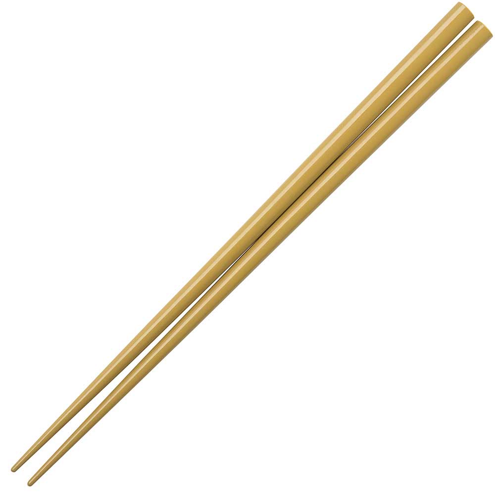 Glossy Colored Chopsticks - Box Turtle