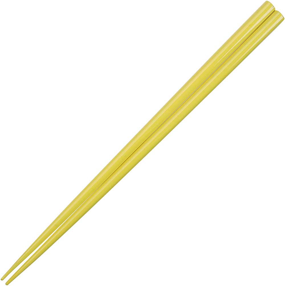 Glossy Colored Chopsticks - Box Turtle