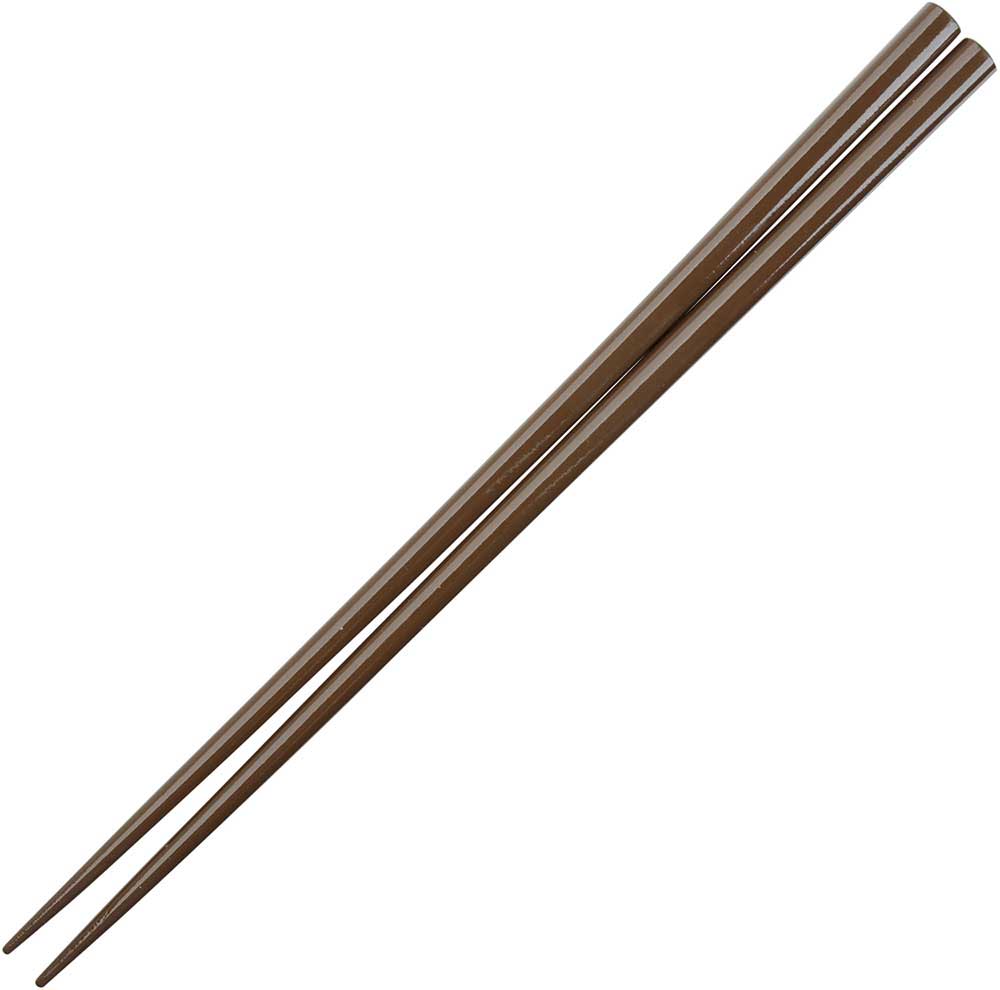 Glossy Colored Chopsticks - Box Turtle
