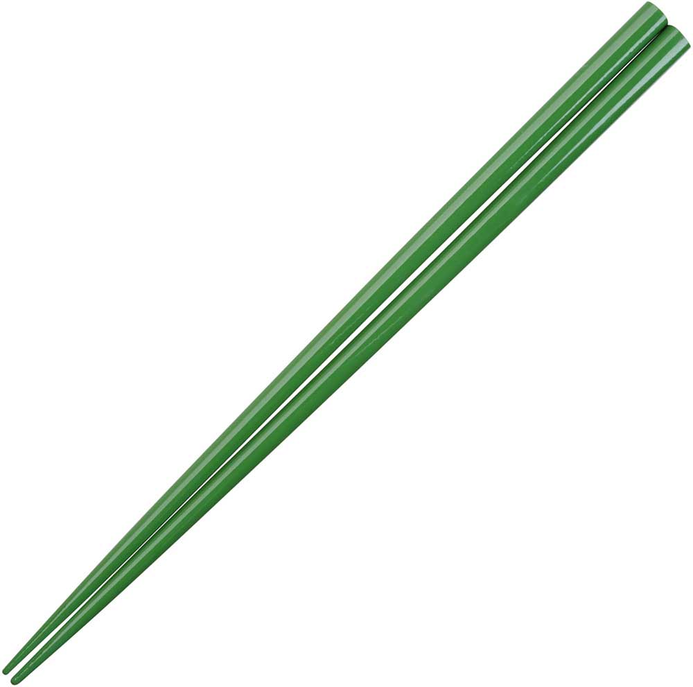 Glossy Colored Chopsticks - Box Turtle