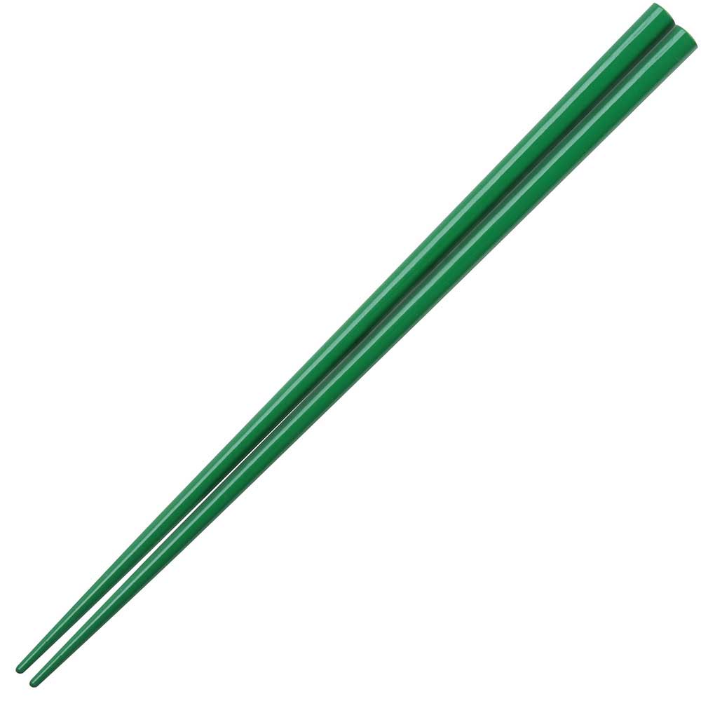 Glossy Colored Chopsticks - Box Turtle