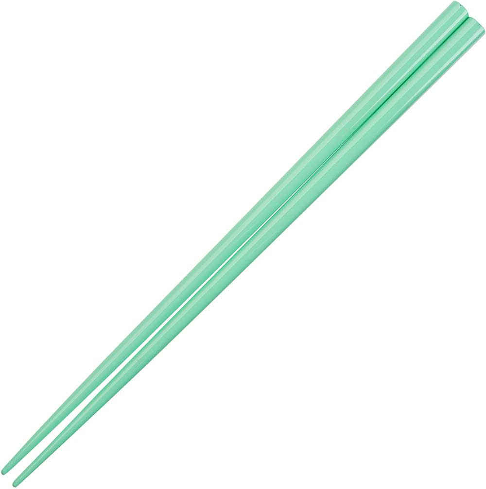 Glossy Colored Chopsticks - Box Turtle
