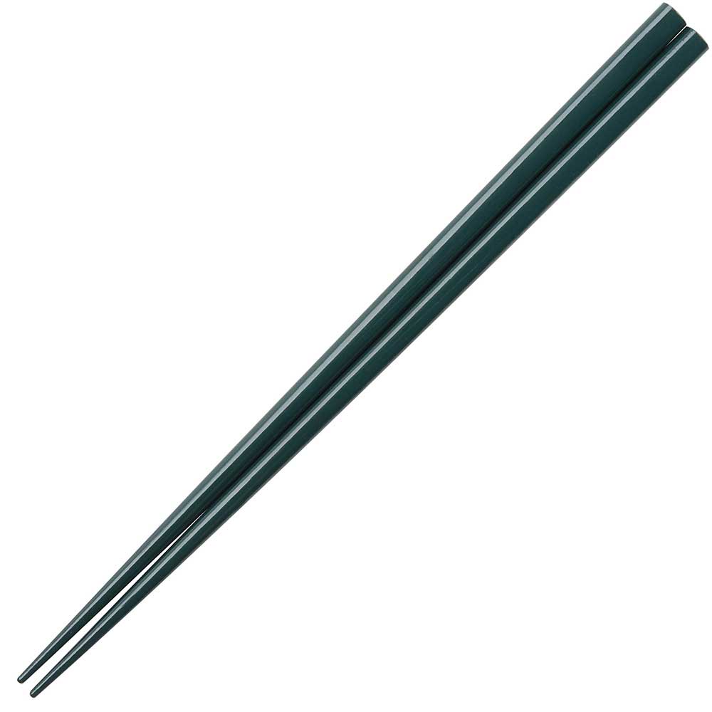 Glossy Colored Chopsticks - Box Turtle