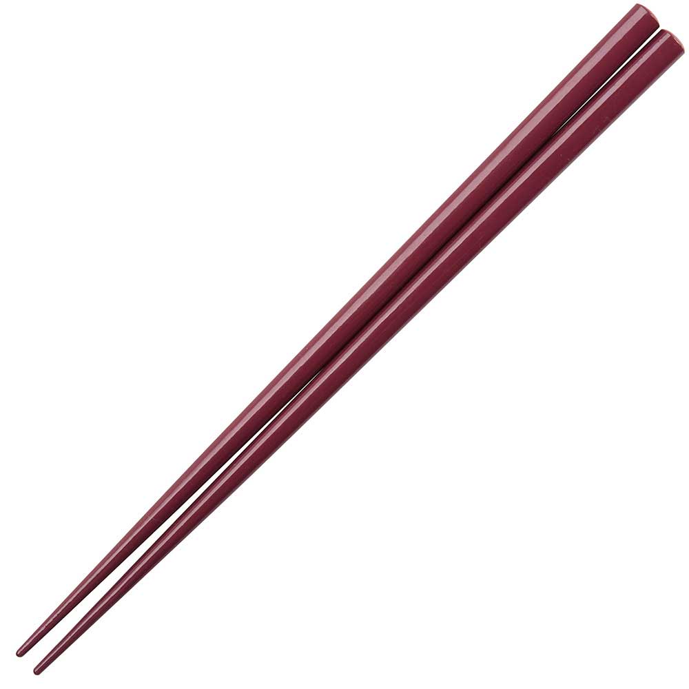Glossy Colored Chopsticks - Box Turtle