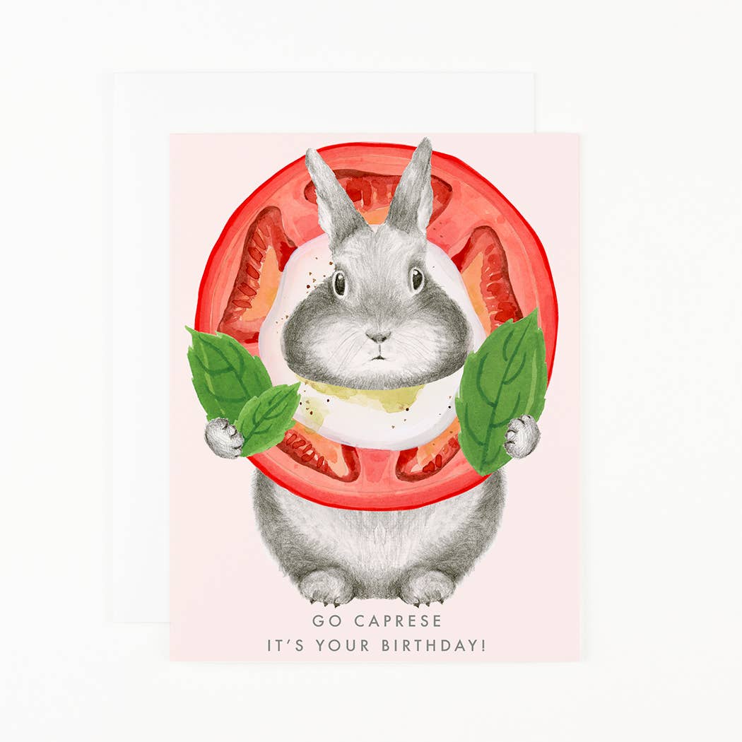 Go Caprese It's Your Birthday - Box Turtle