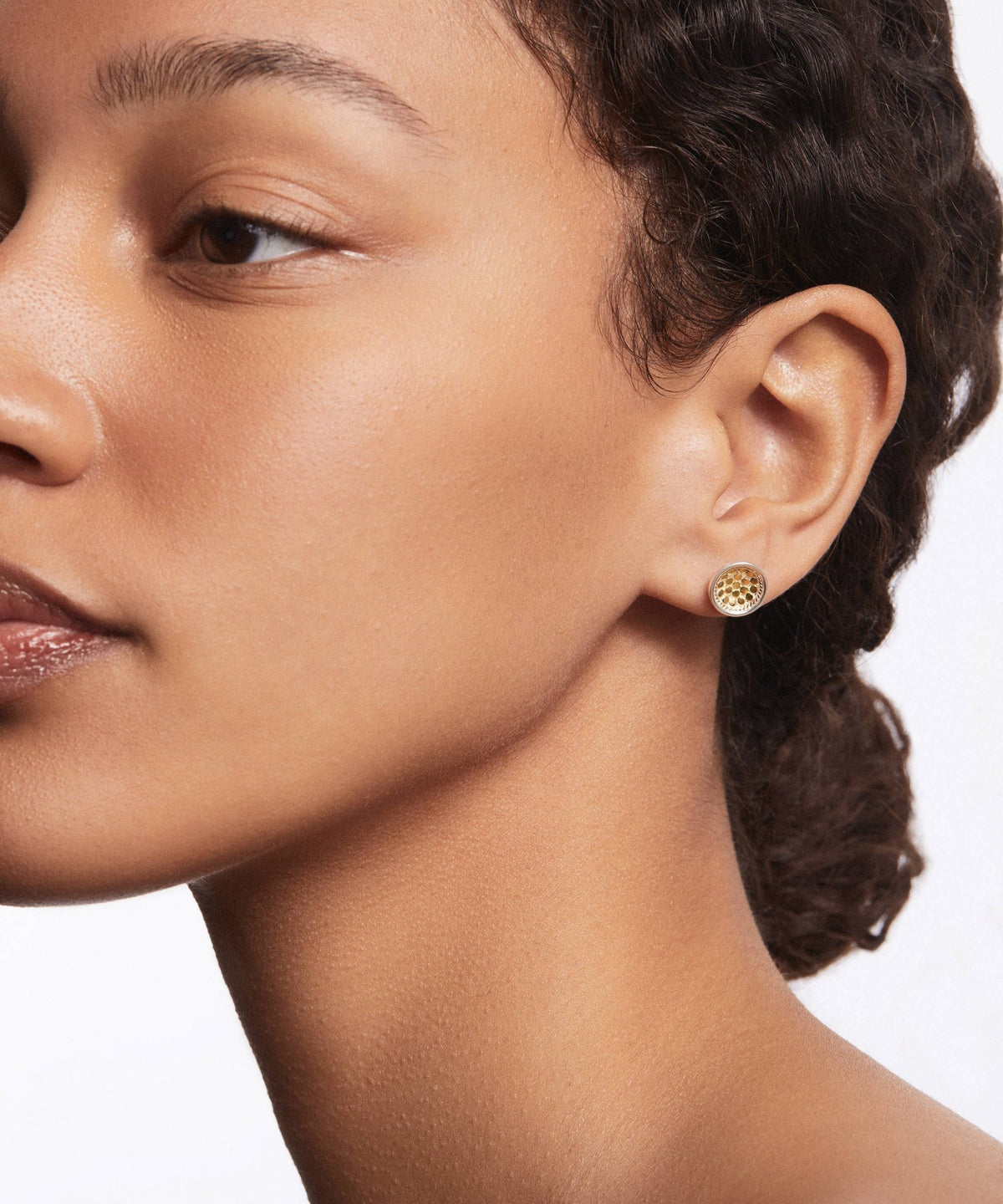 Gold Classic Dish Stud Earrings - Box Turtle