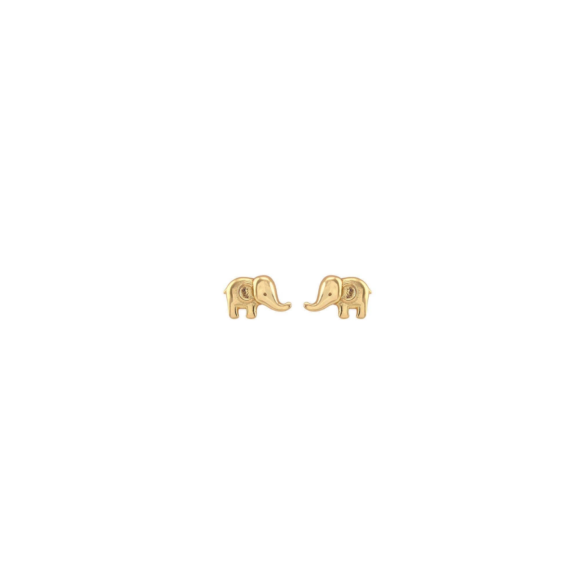 Gold Elephant Studs - Box Turtle
