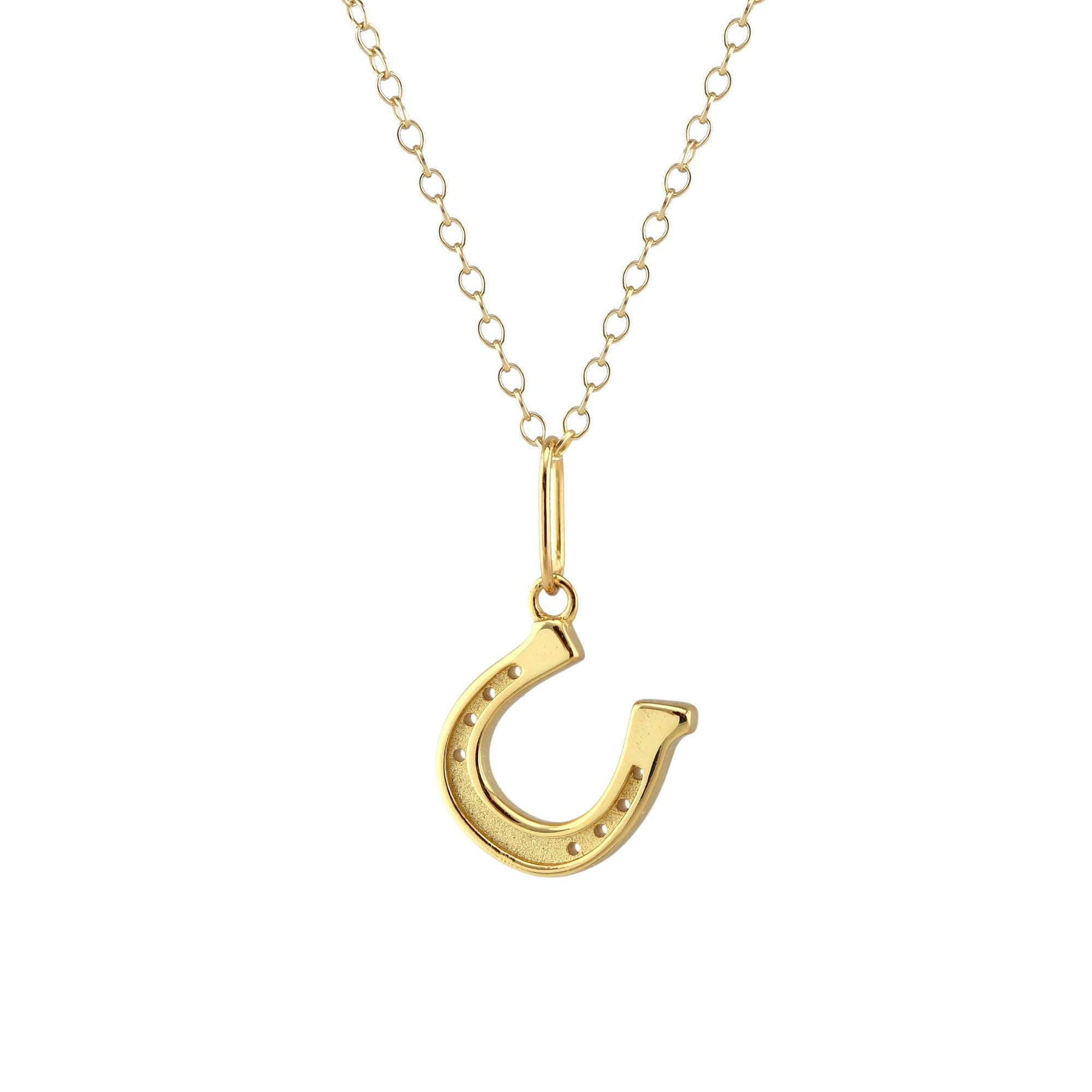 Gold Horseshoe Charm Necklace - Box Turtle