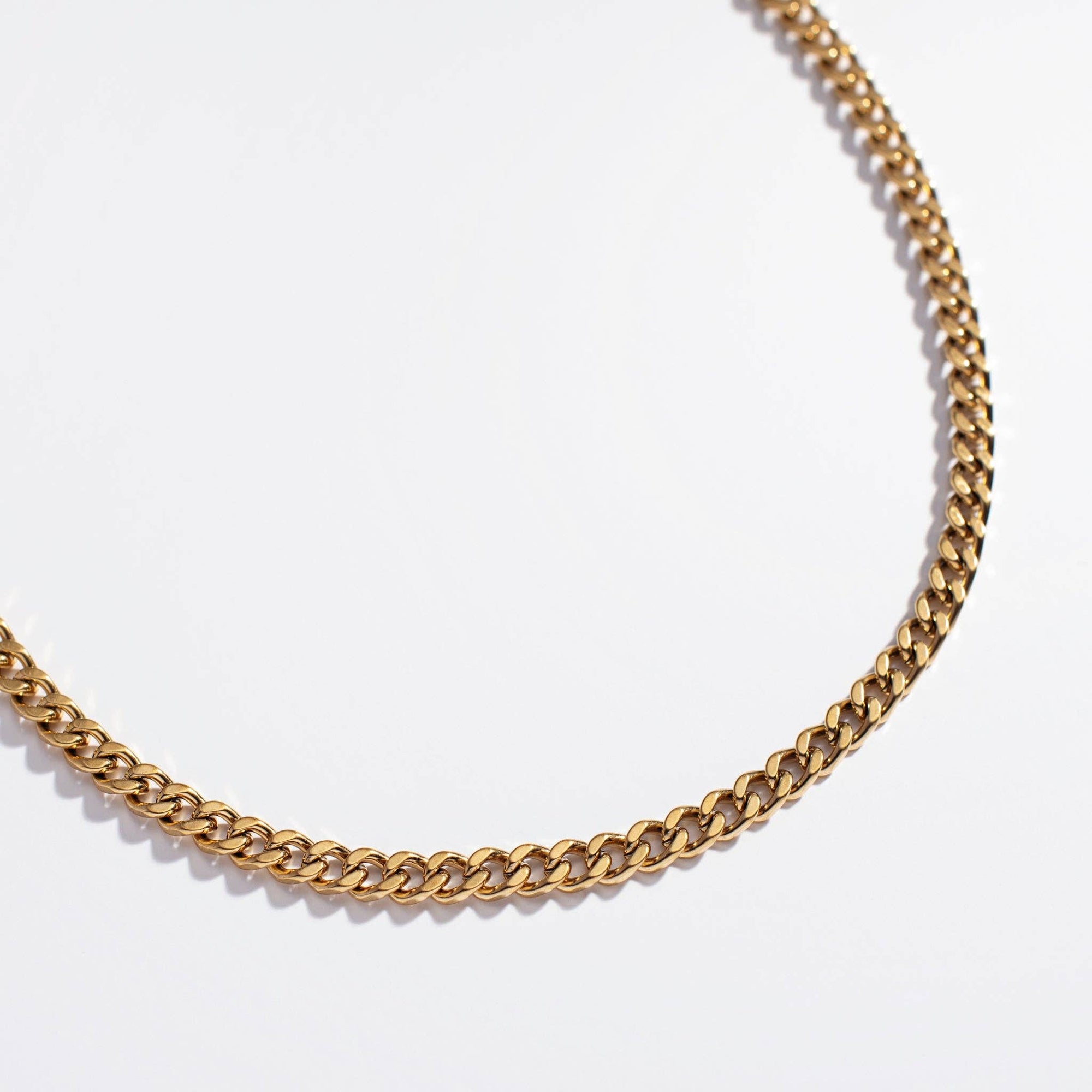 Gold Julien Necklace - Box Turtle