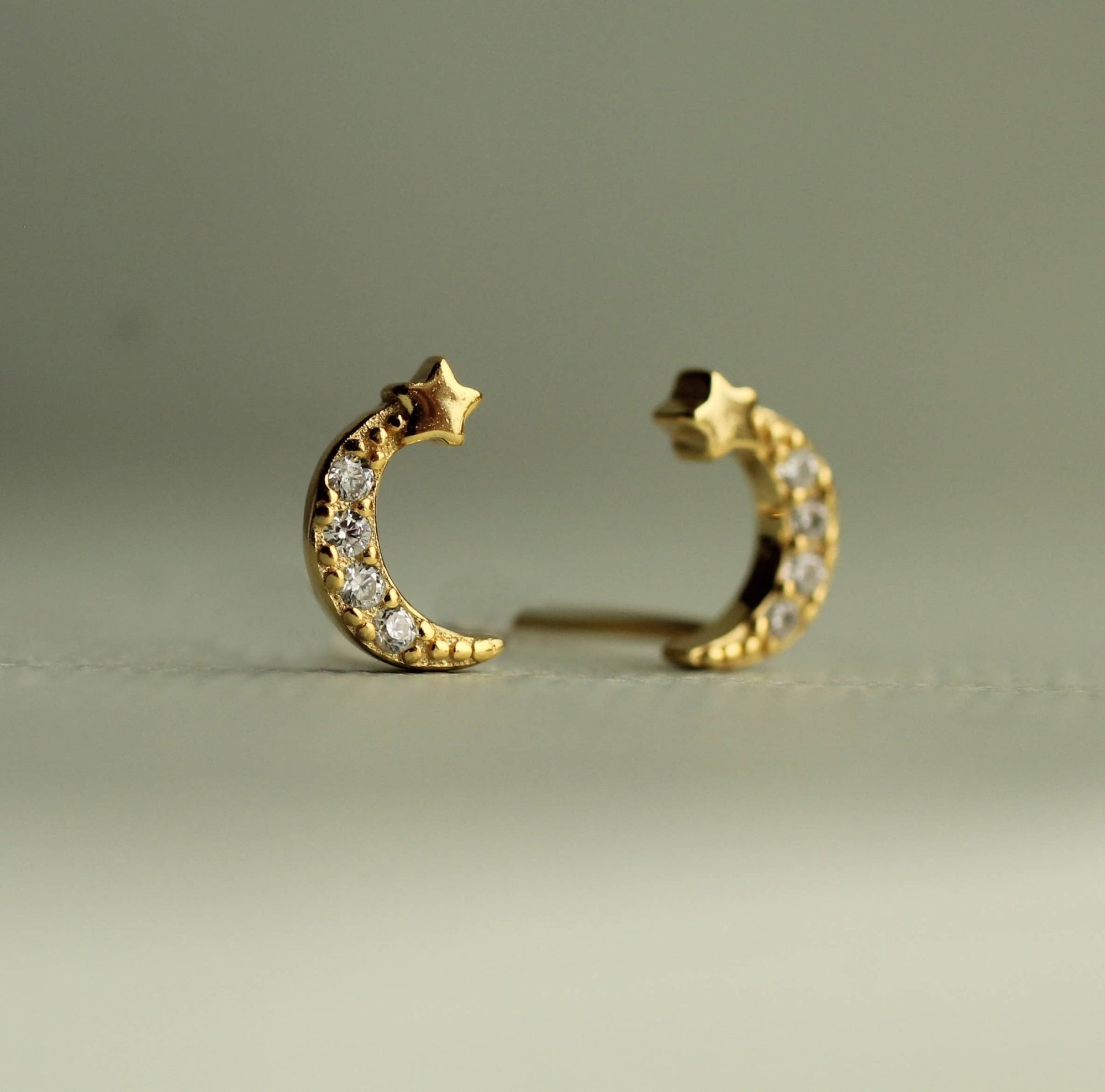 Gold Moon Studs - Box Turtle