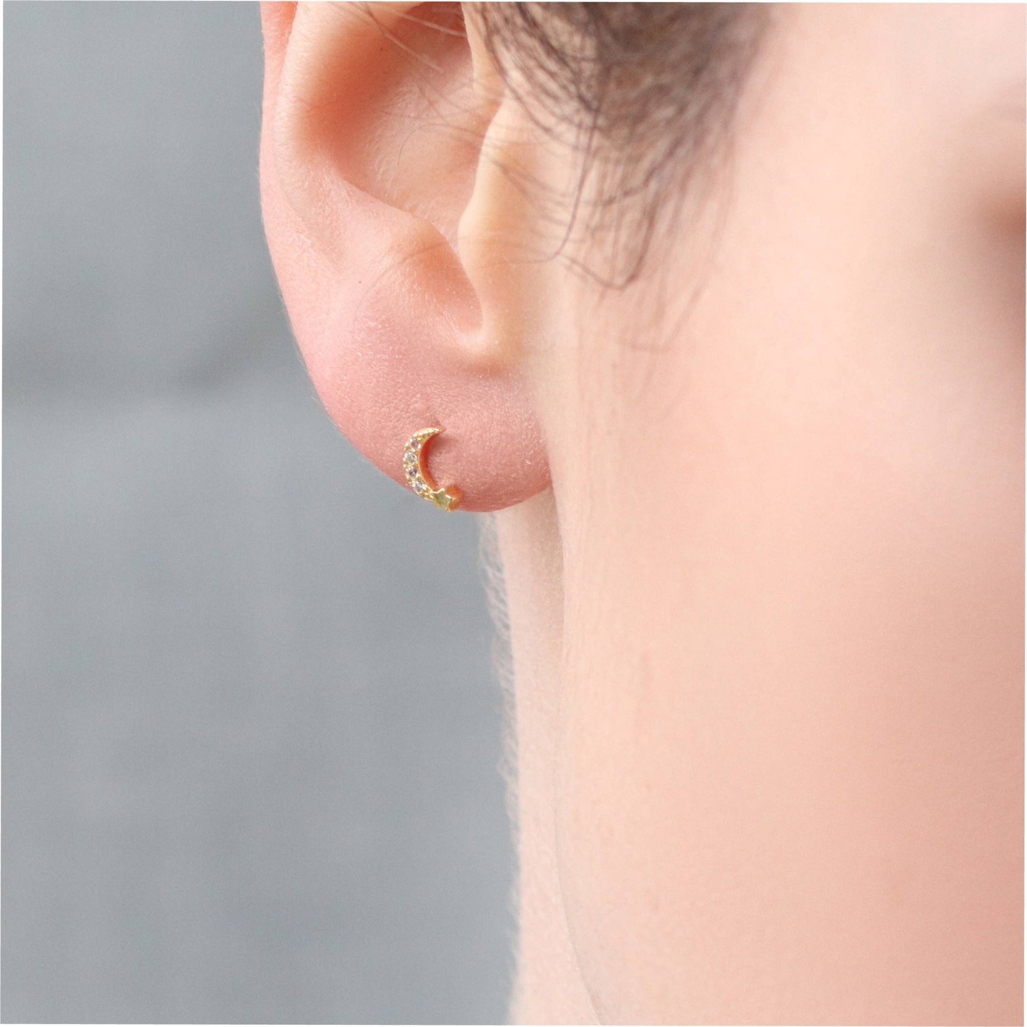 Gold Moon Studs - Box Turtle