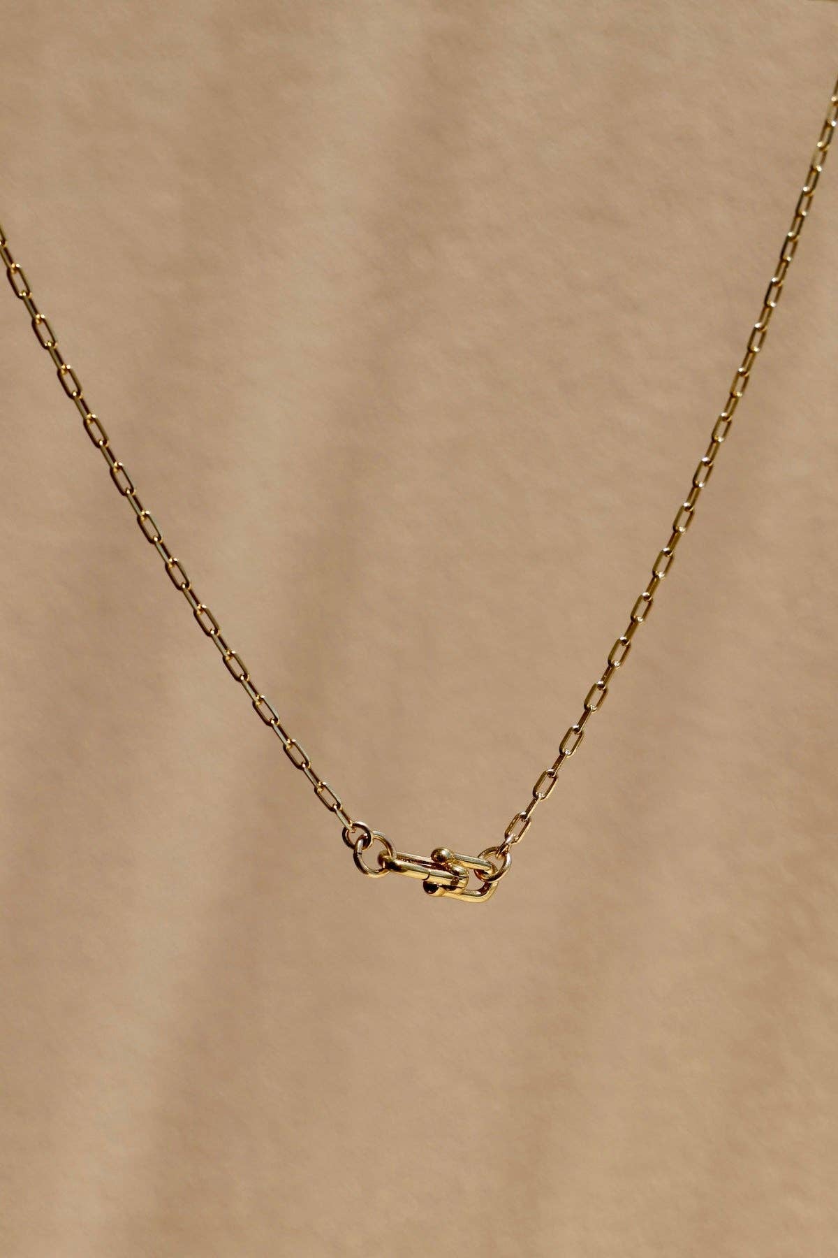 Gold Paperclip Keepsake Chain - Box Turtle