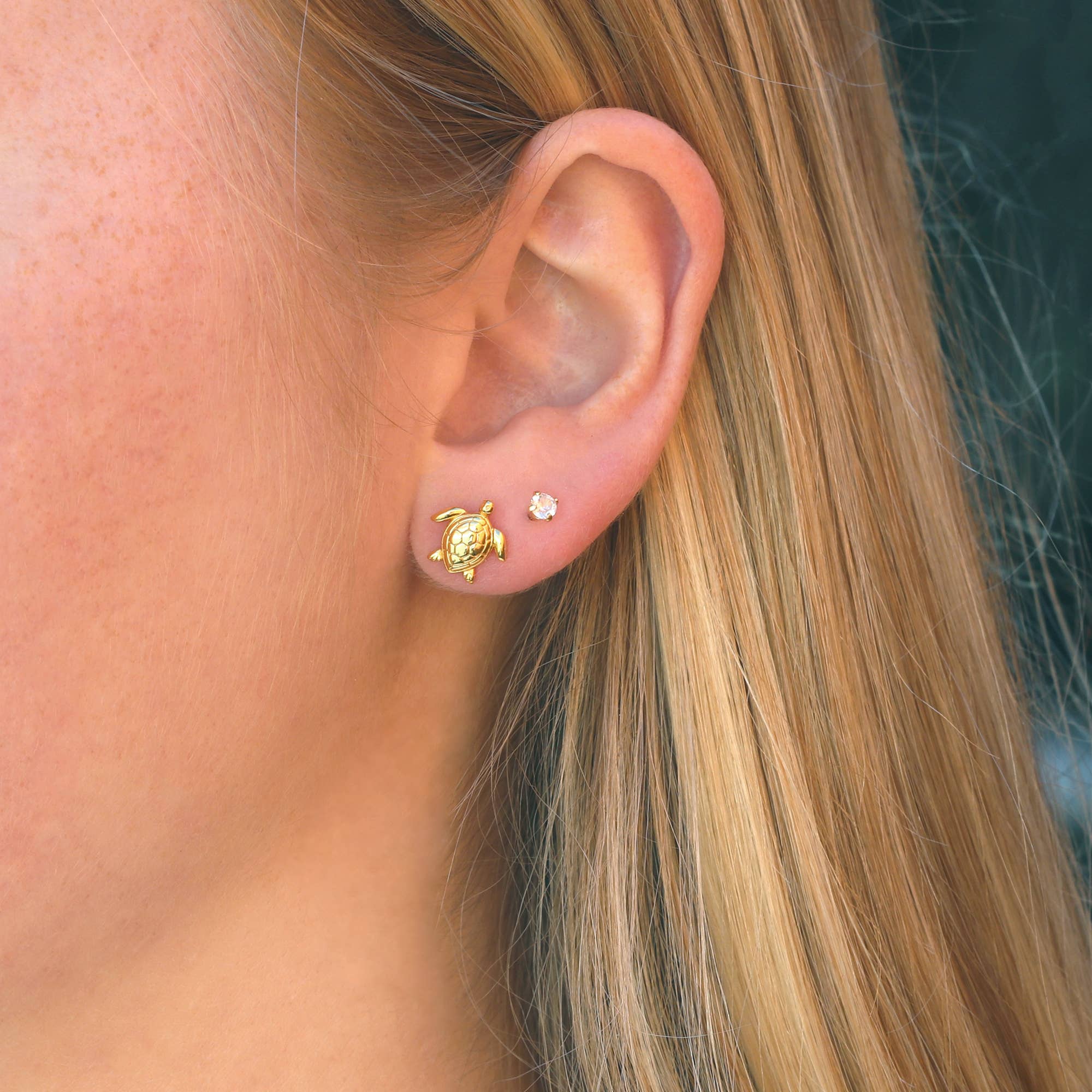 Gold Sea Turtle Studs - Box Turtle
