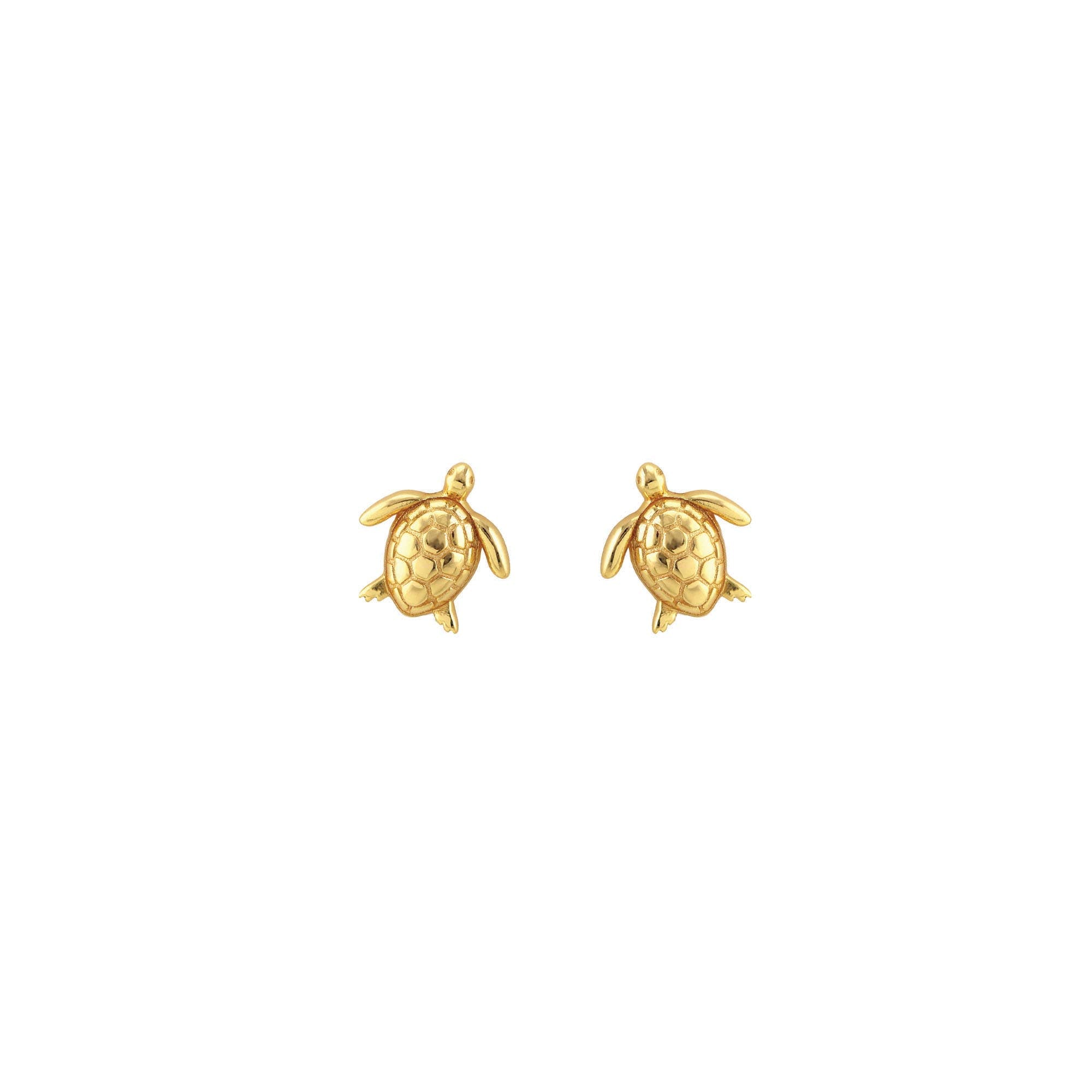 Gold Sea Turtle Studs - Box Turtle