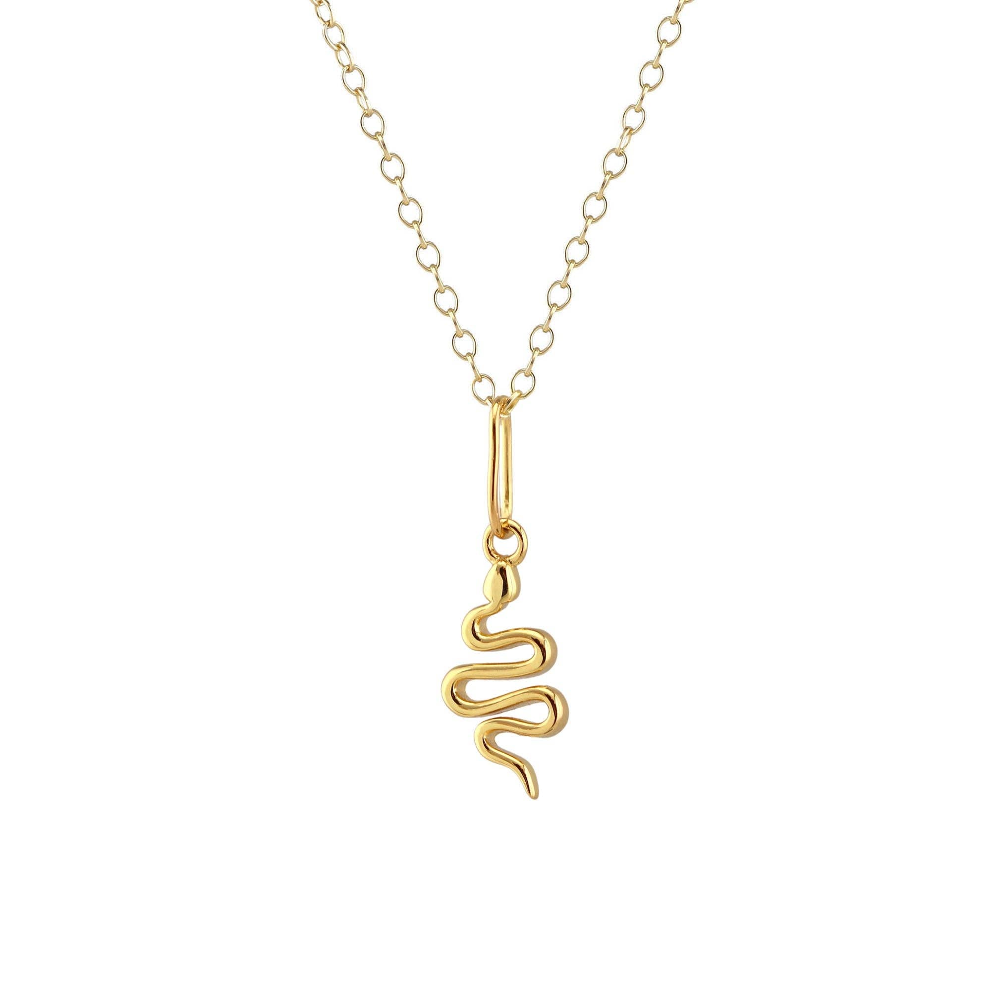 Gold Snake Charm Necklace - Box Turtle