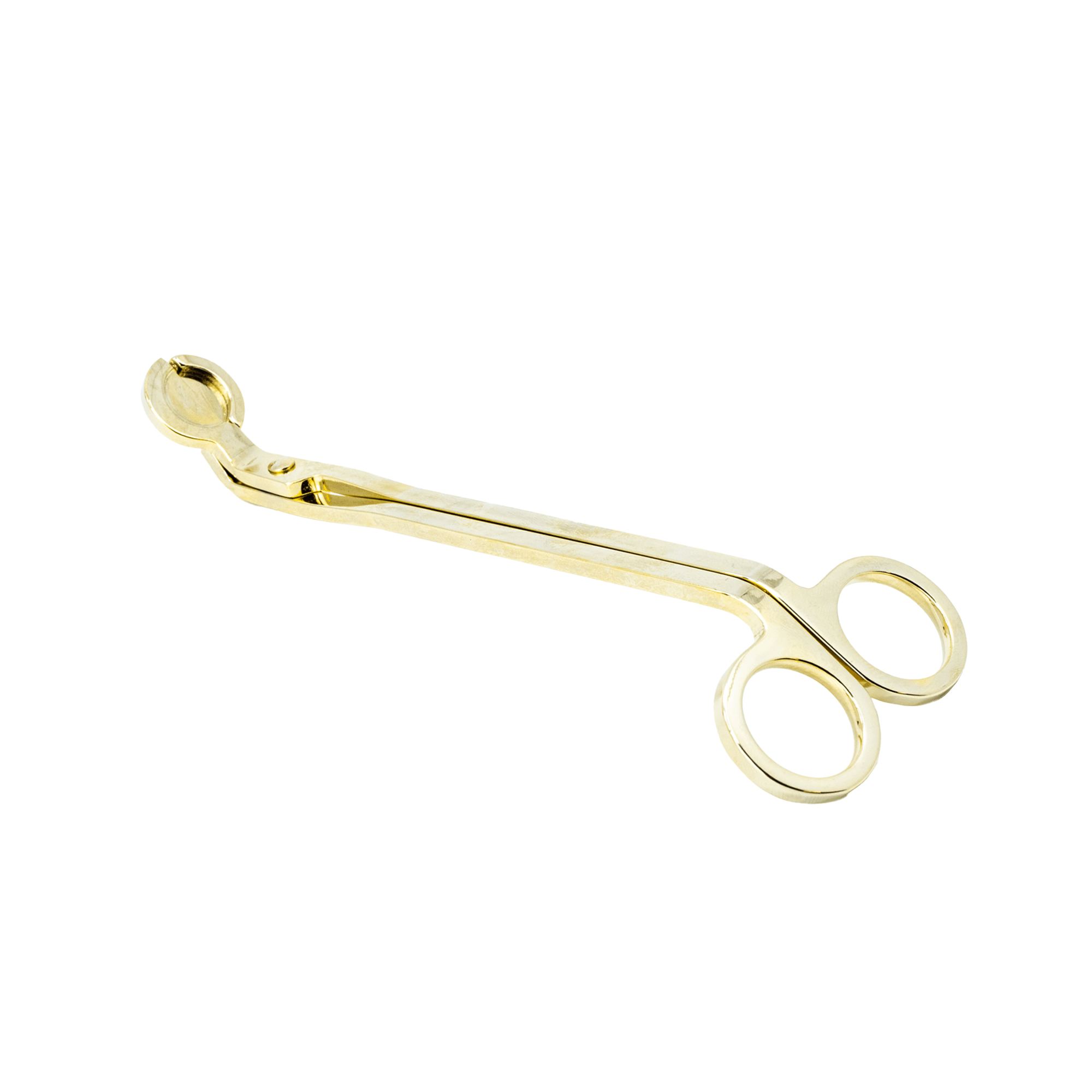 Gold Wick Trimmer - Box Turtle