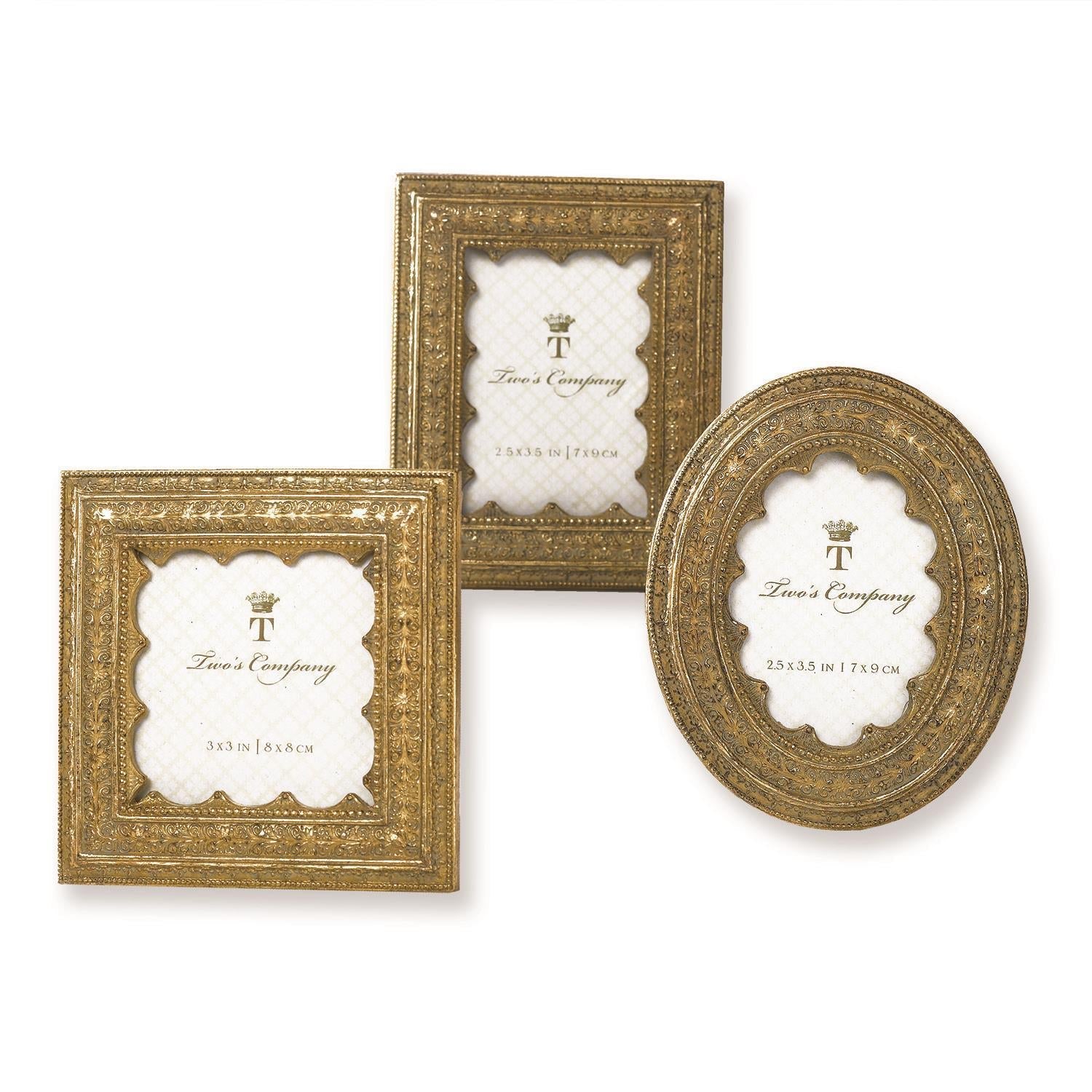 Golden Ornate Frame - Box Turtle