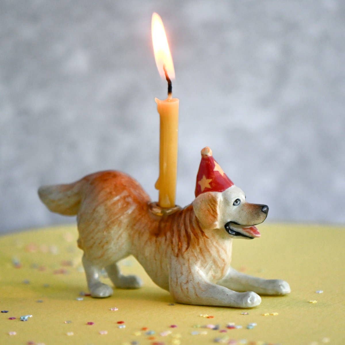 Golden Retriever Cake Topper - Box Turtle